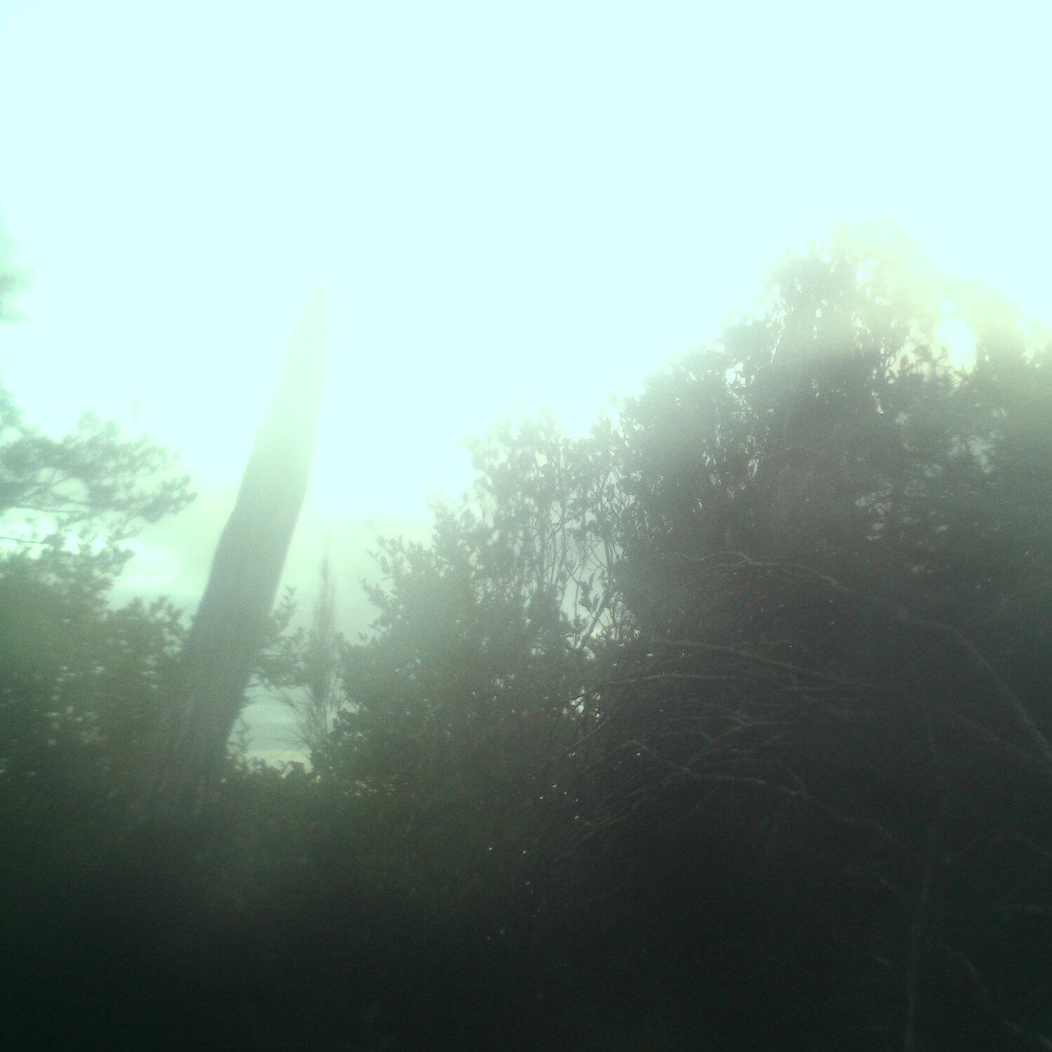 A photo captured from the webcam at the time the audio was recorded