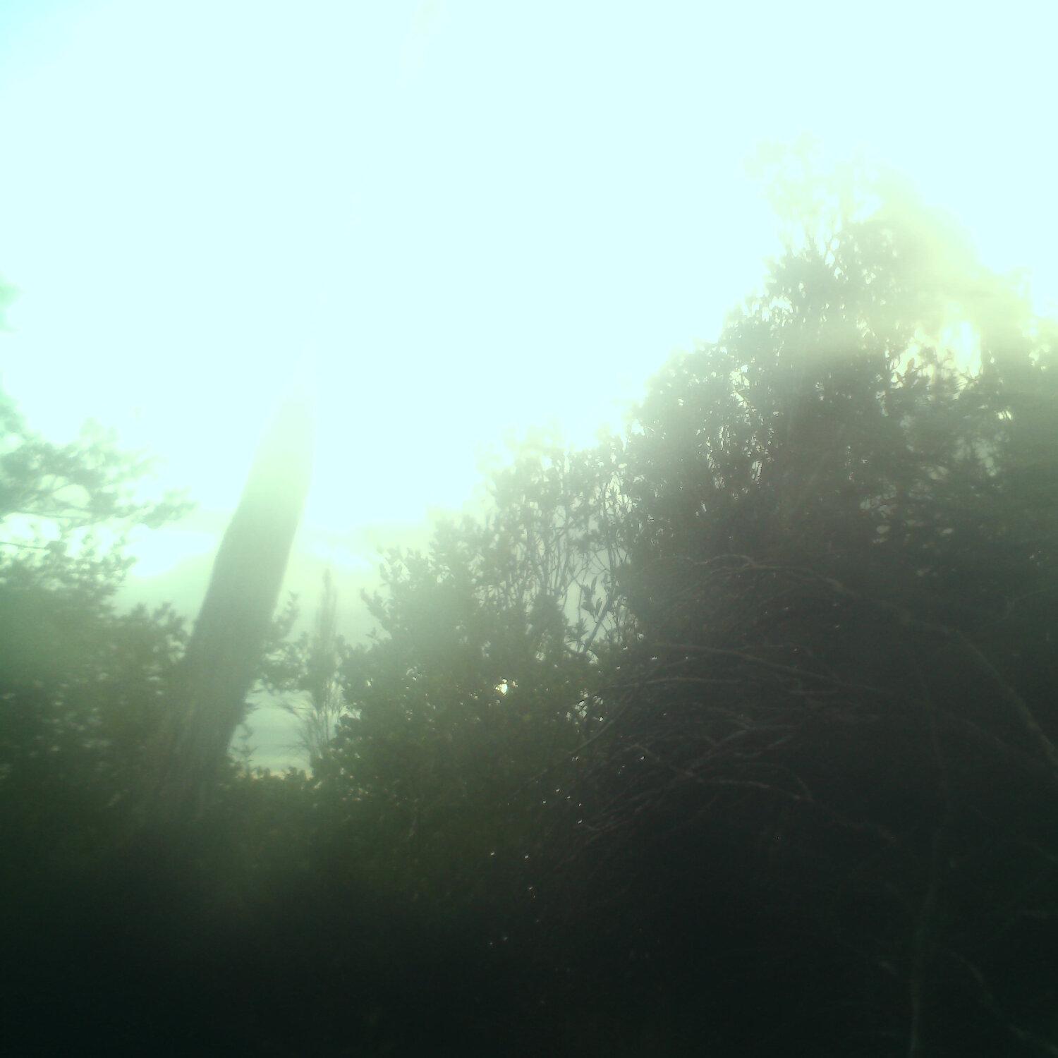 A photo captured from the webcam at the time the audio was recorded