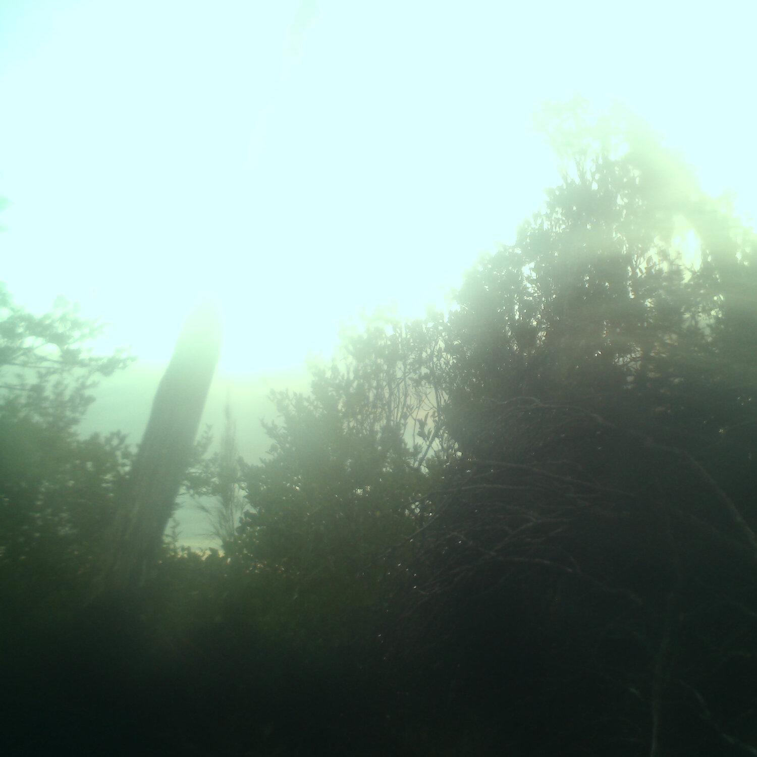 A photo captured from the webcam at the time the audio was recorded
