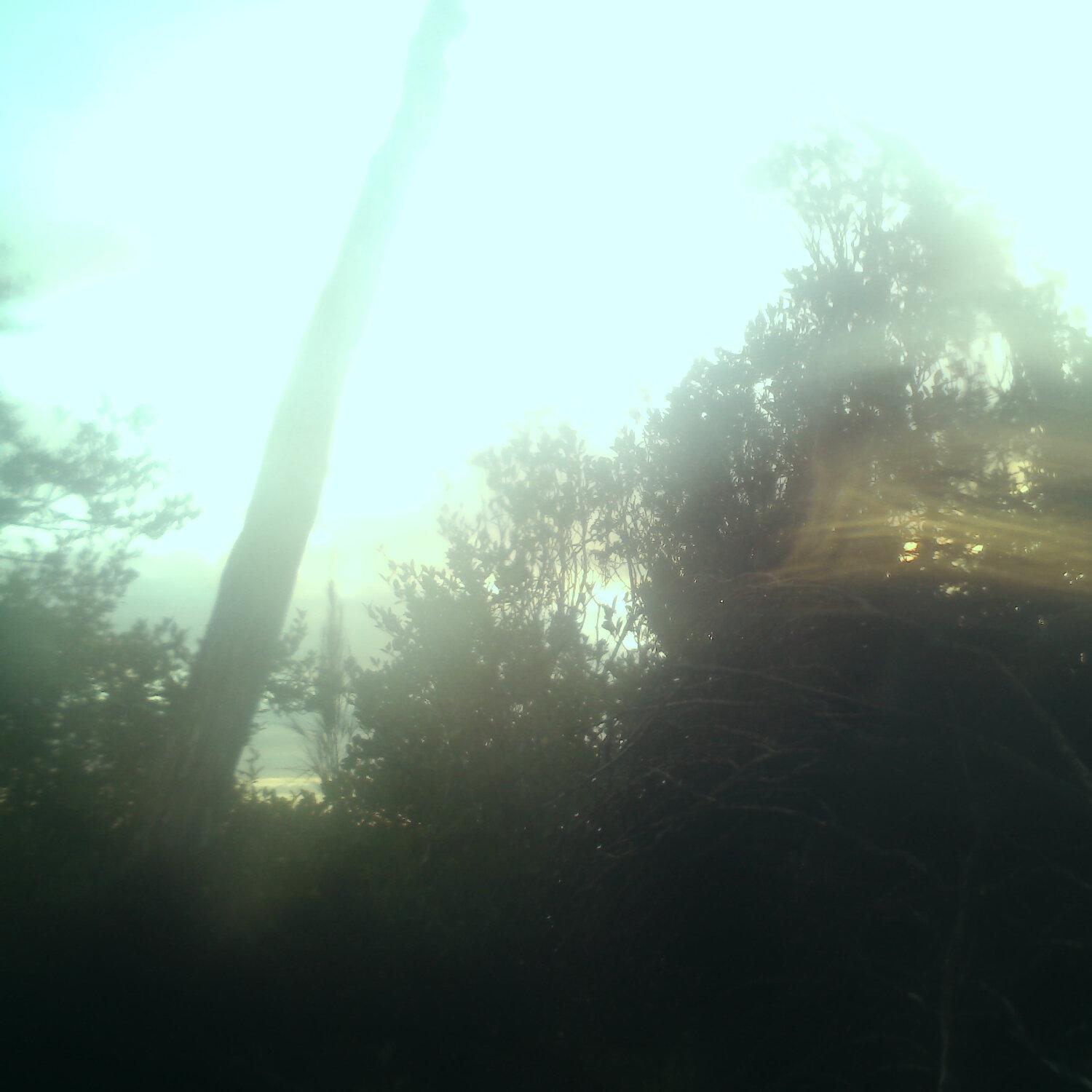 A photo captured from the webcam at the time the audio was recorded