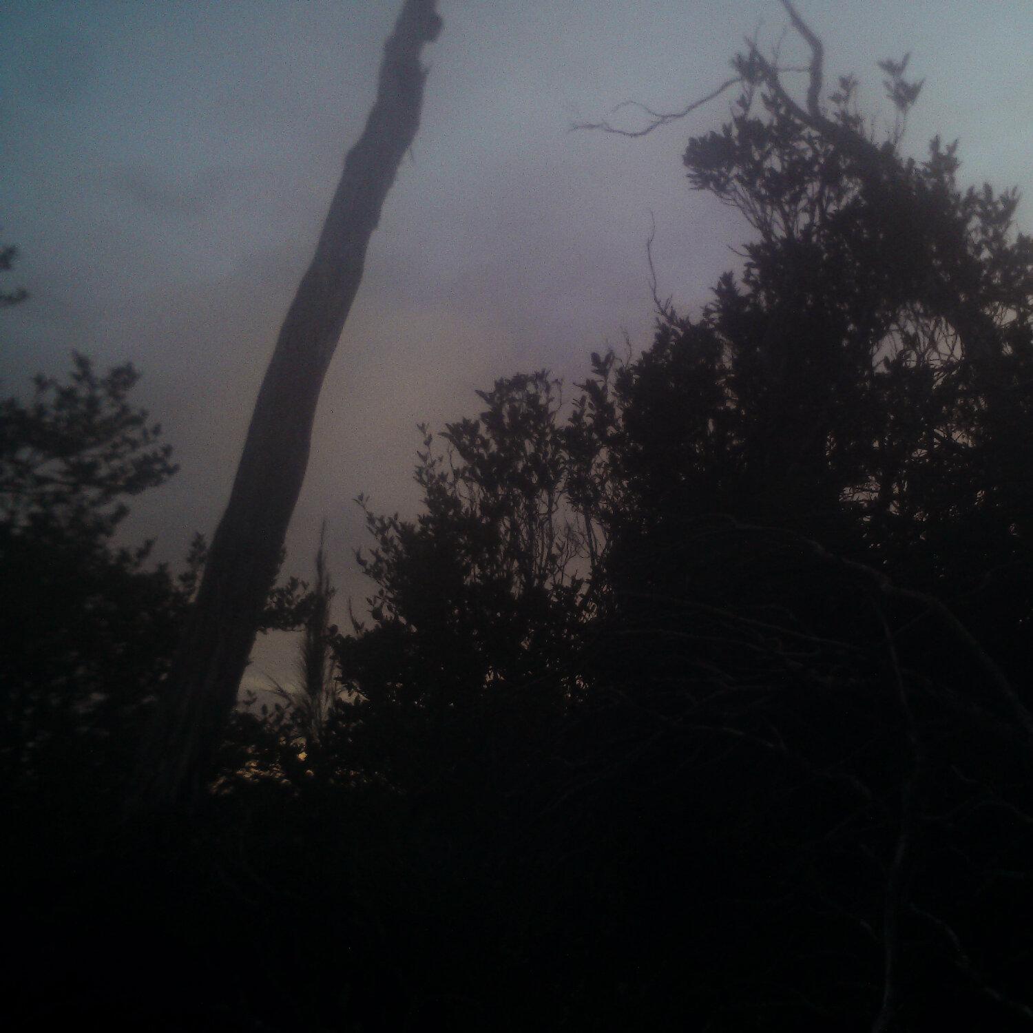 A photo captured from the webcam at the time the audio was recorded