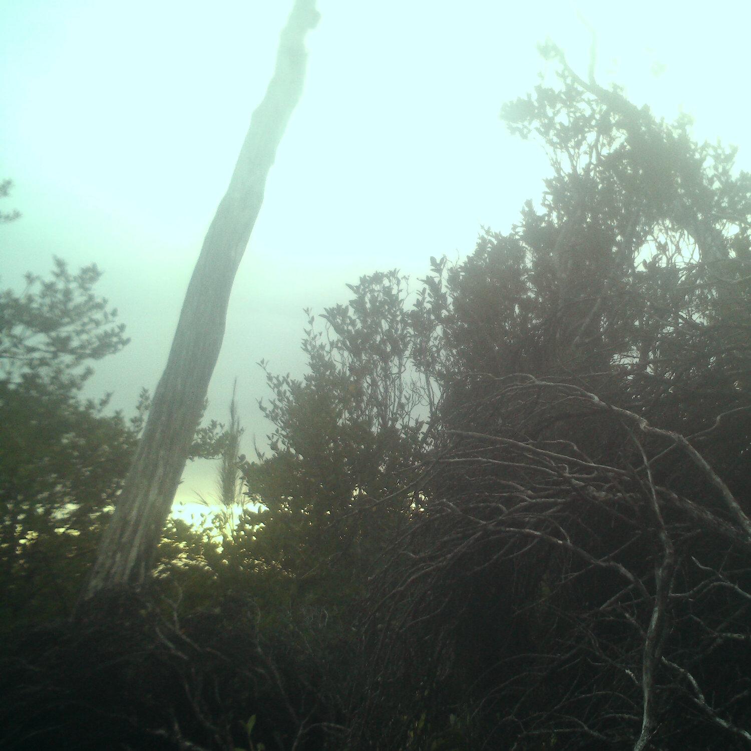 A photo captured from the webcam at the time the audio was recorded