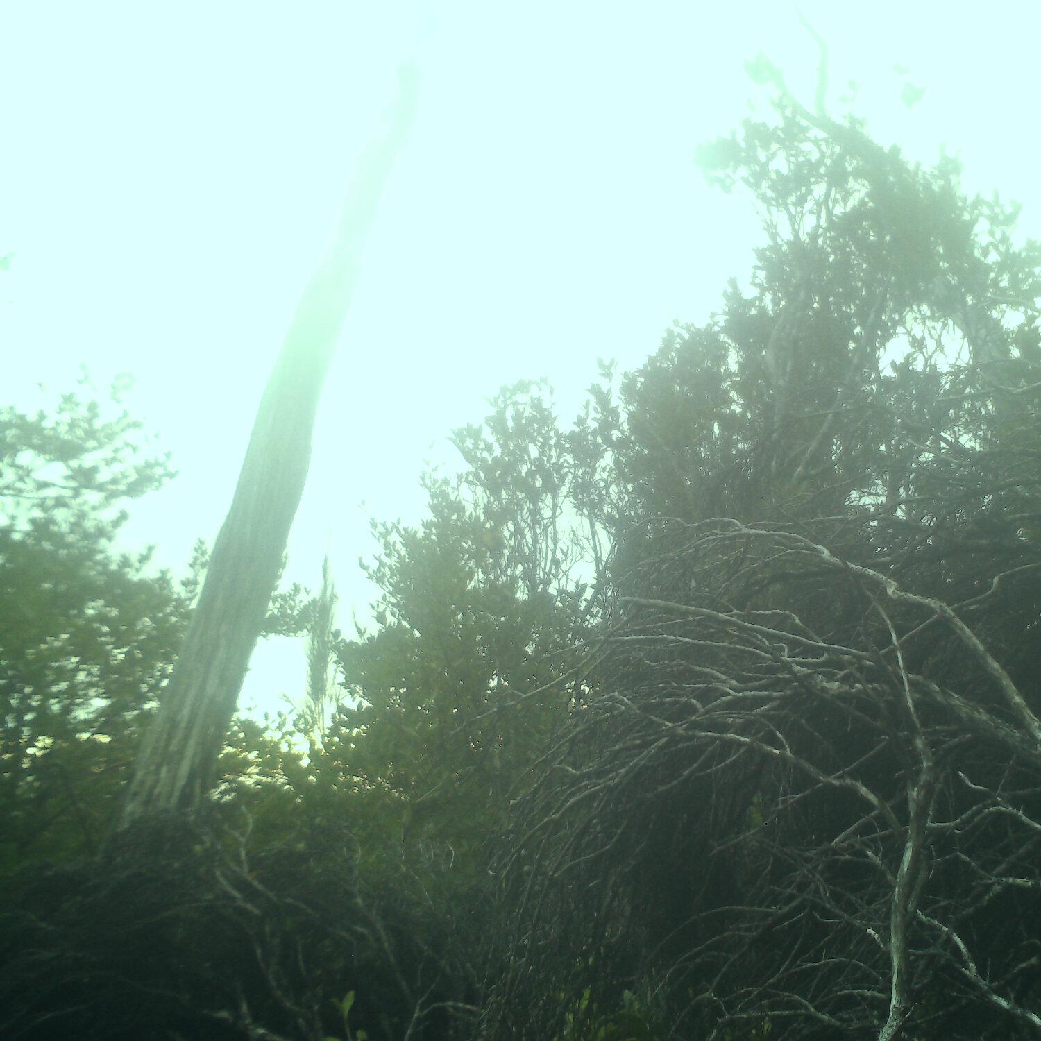 A photo captured from the webcam at the time the audio was recorded