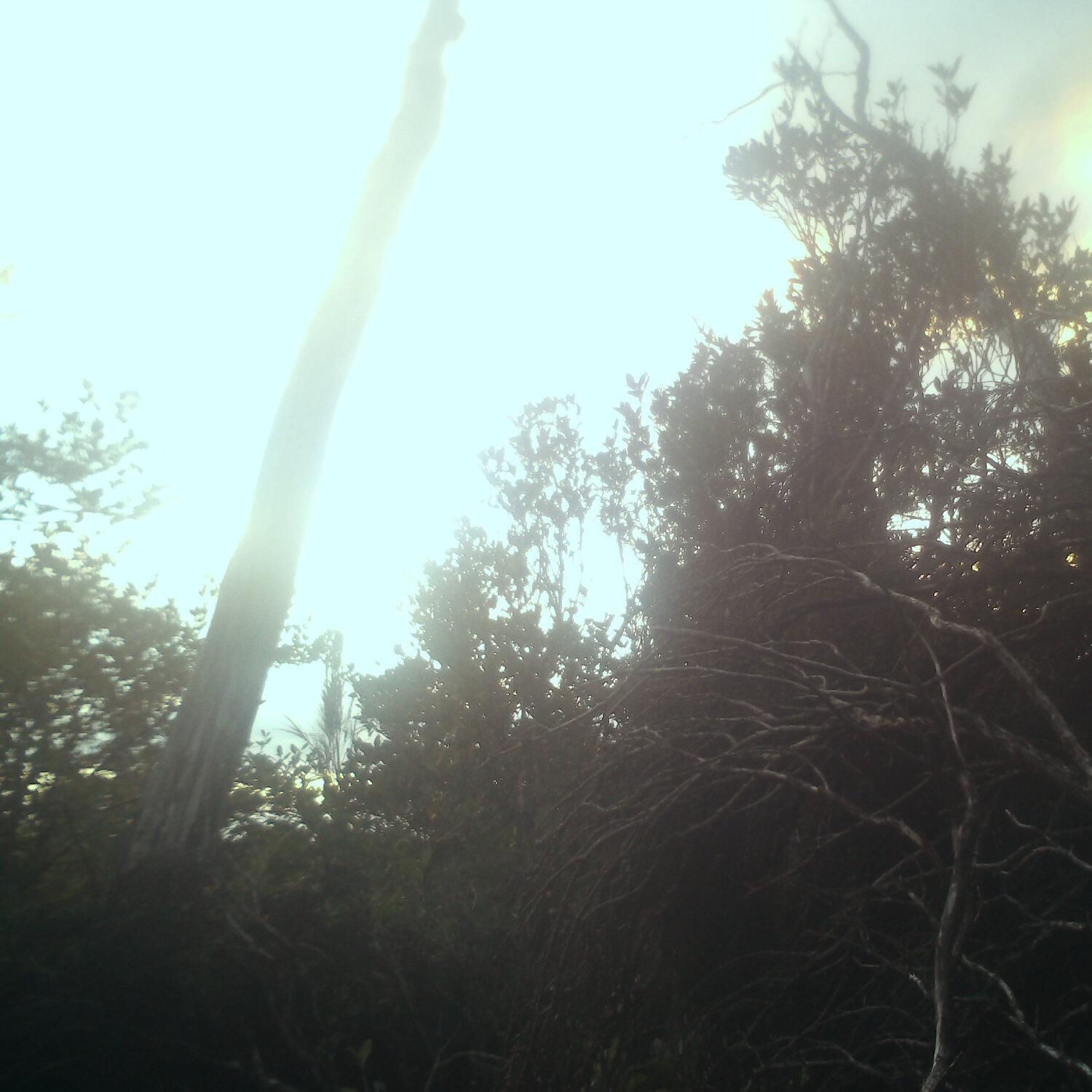A photo captured from the webcam at the time the audio was recorded