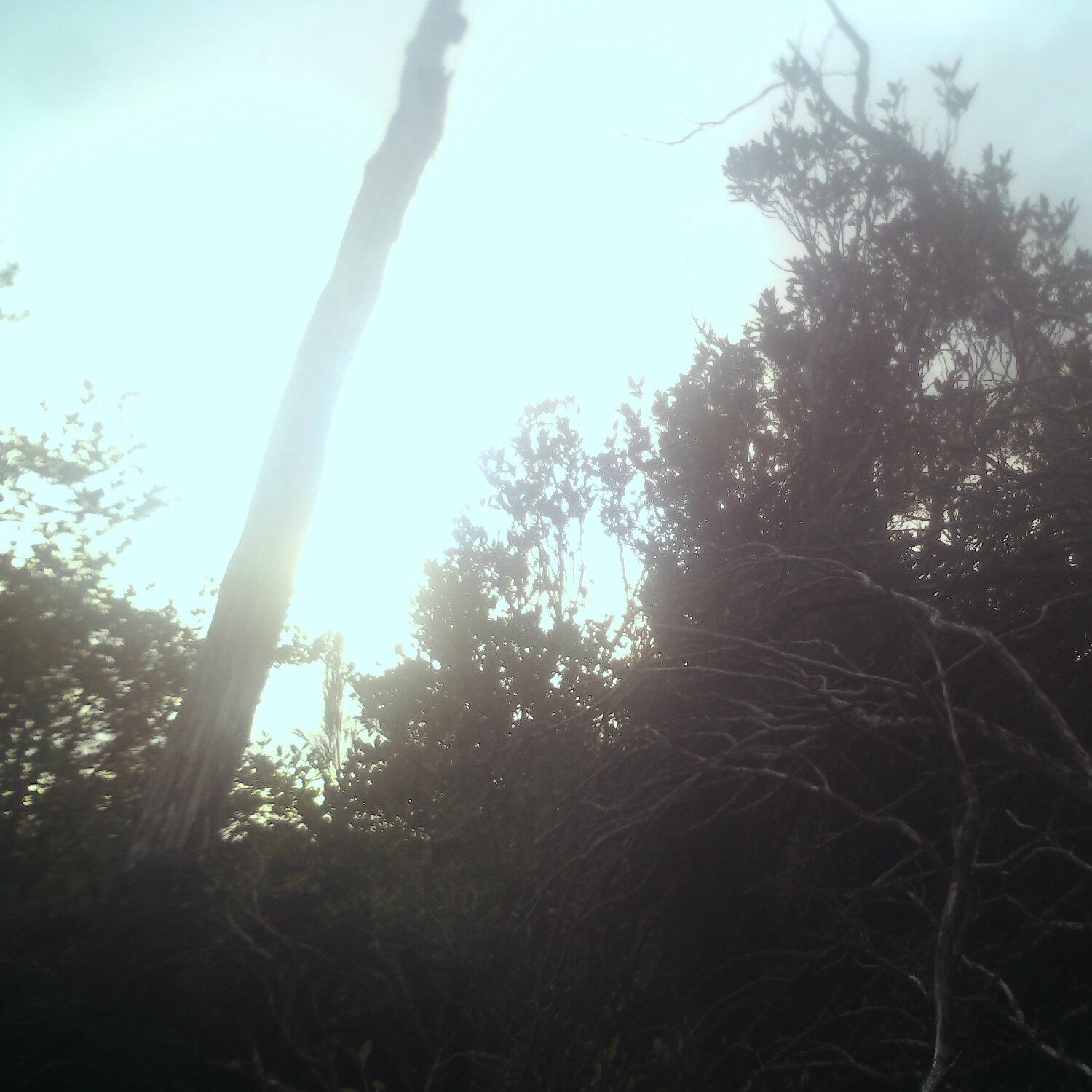 A photo captured from the webcam at the time the audio was recorded