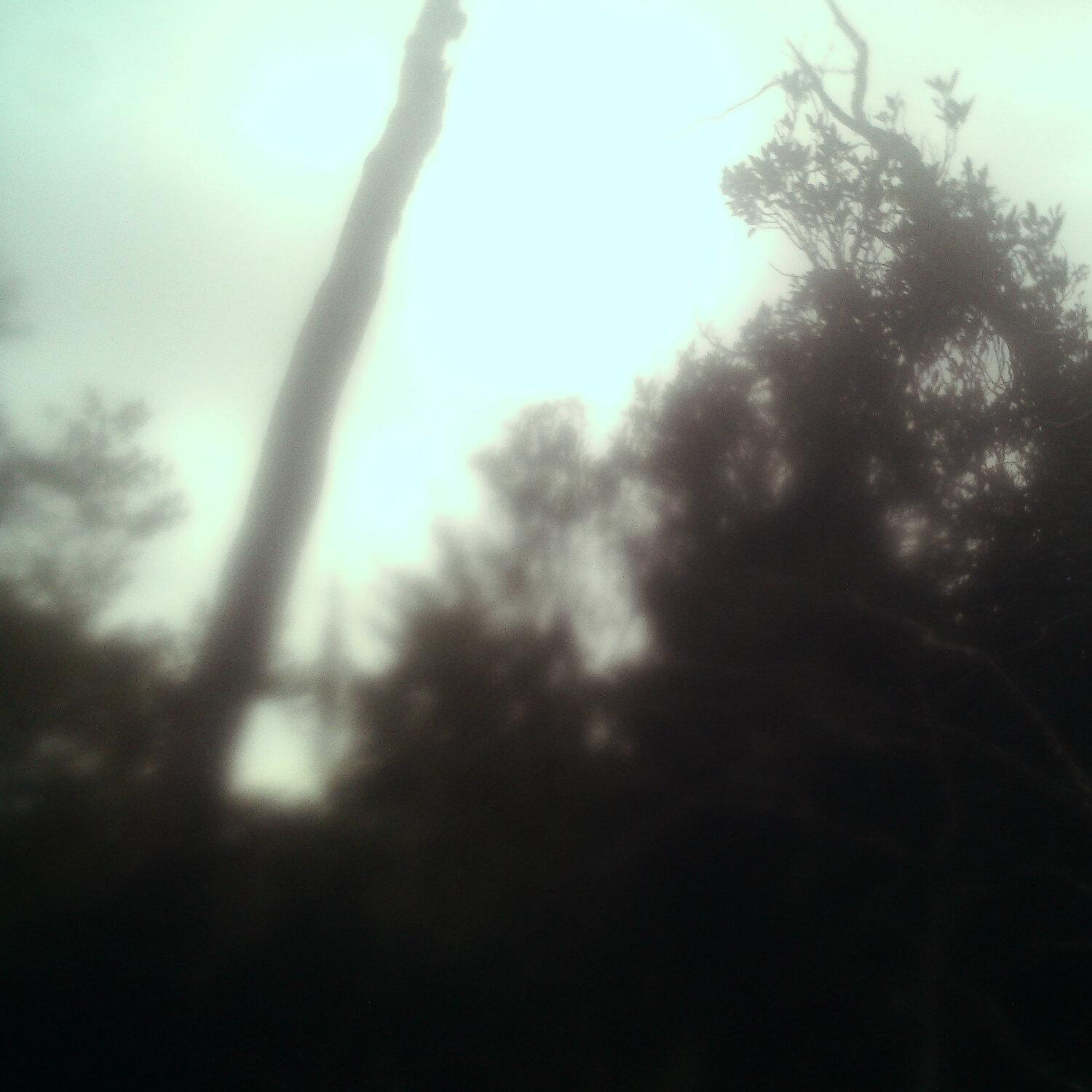 A photo captured from the webcam at the time the audio was recorded