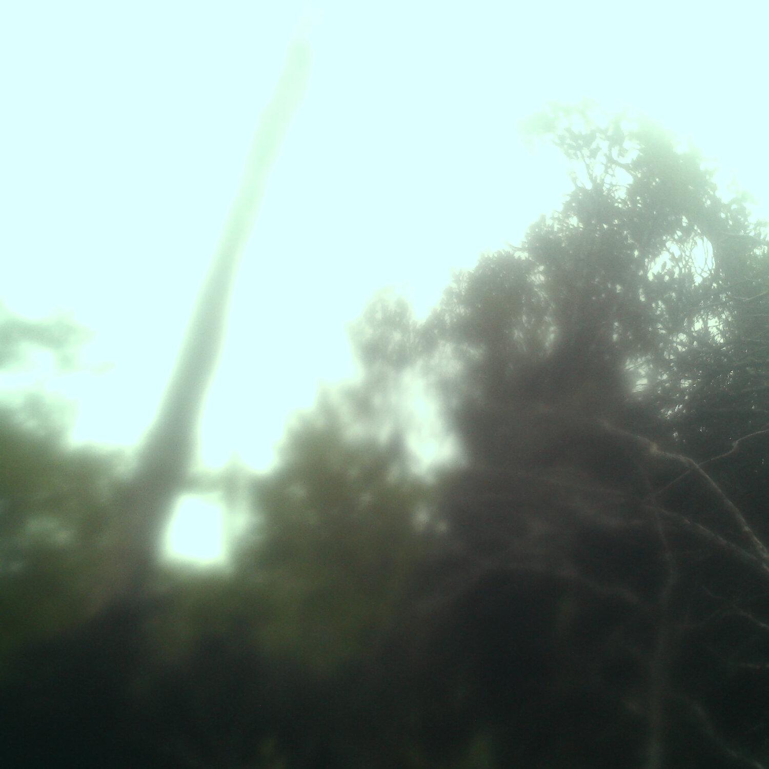 A photo captured from the webcam at the time the audio was recorded