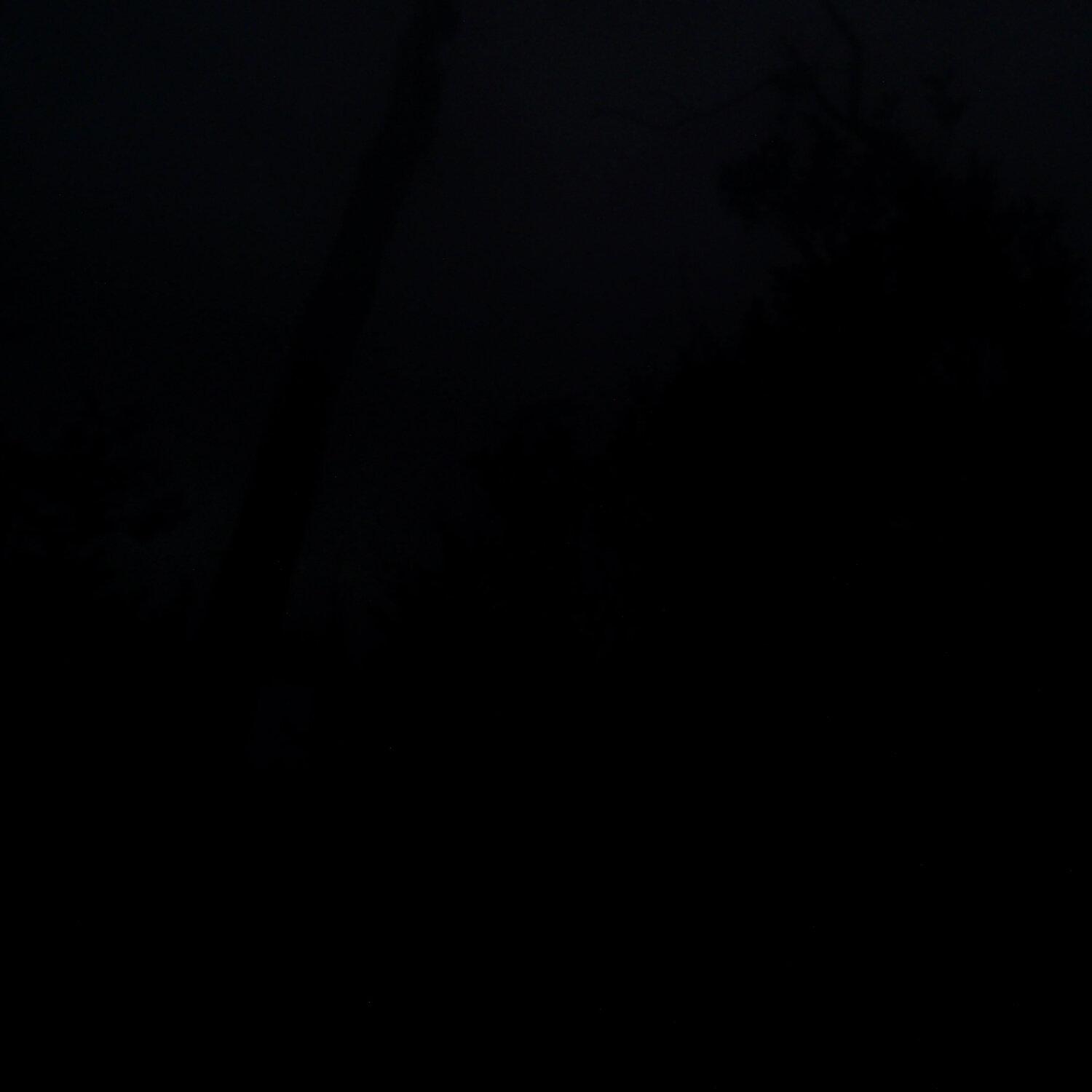 A photo captured from the webcam at the time the audio was recorded