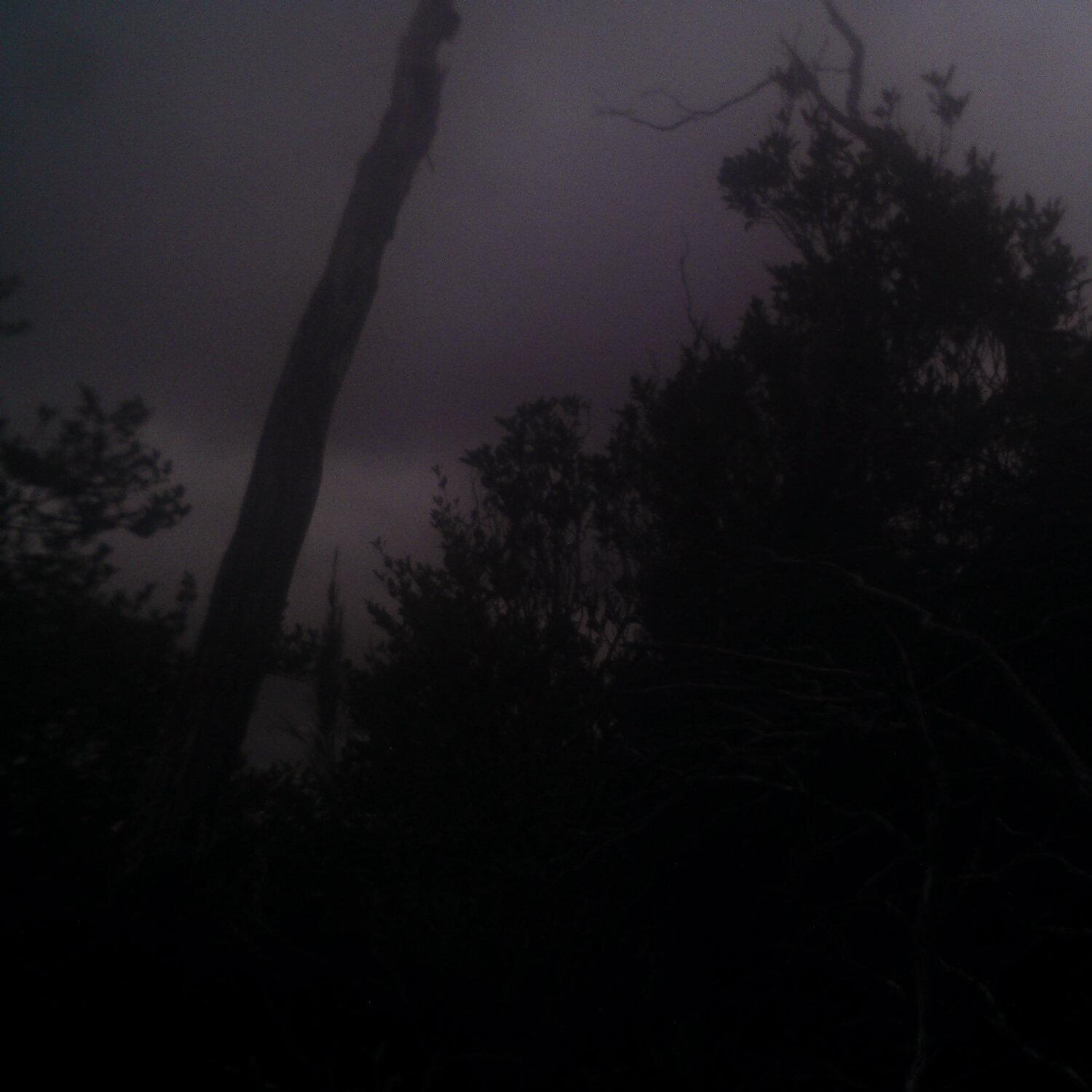A photo captured from the webcam at the time the audio was recorded