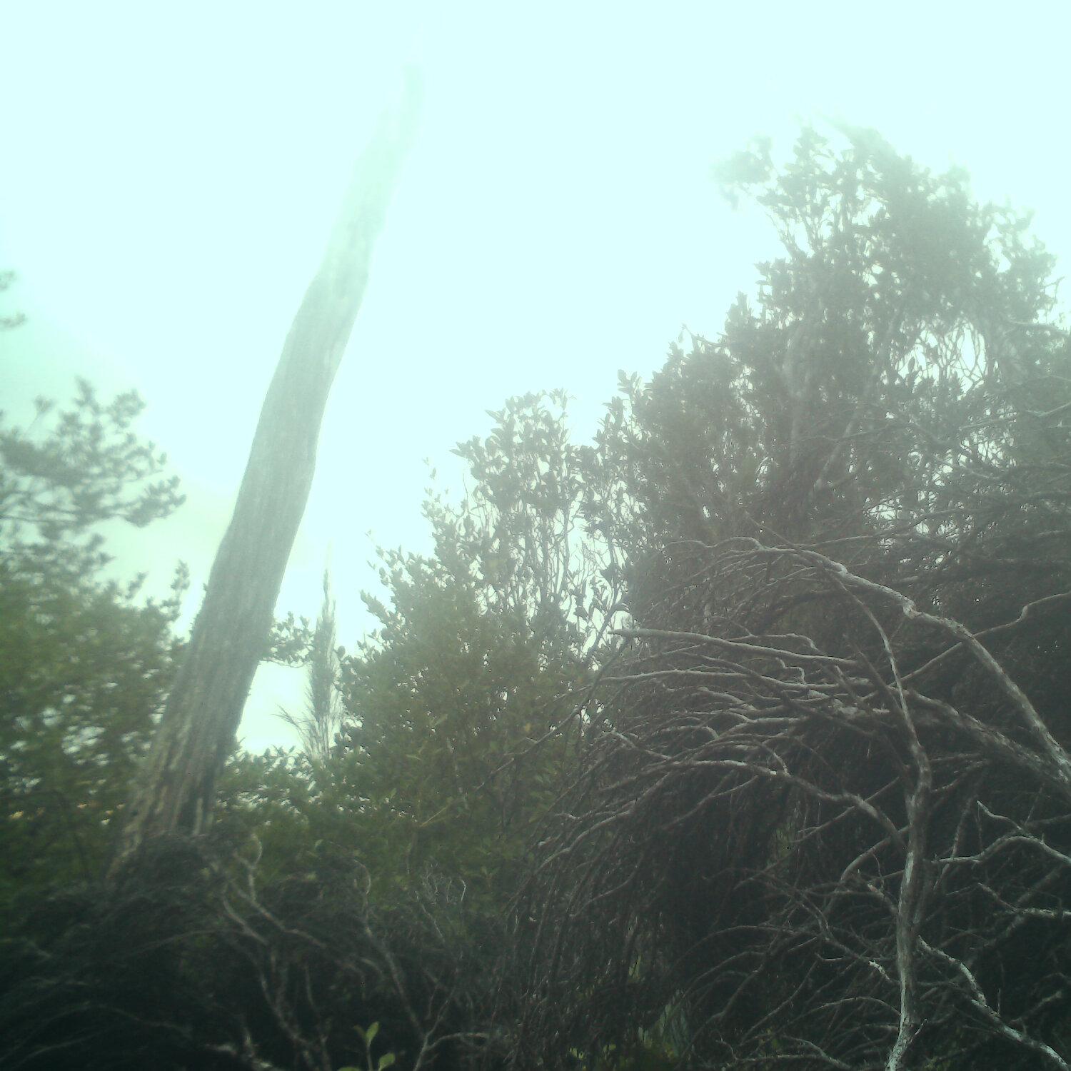 A photo captured from the webcam at the time the audio was recorded