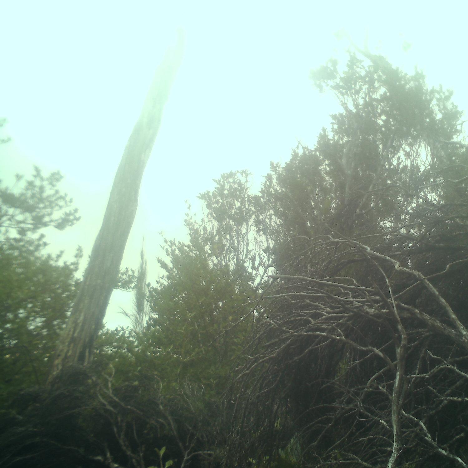A photo captured from the webcam at the time the audio was recorded