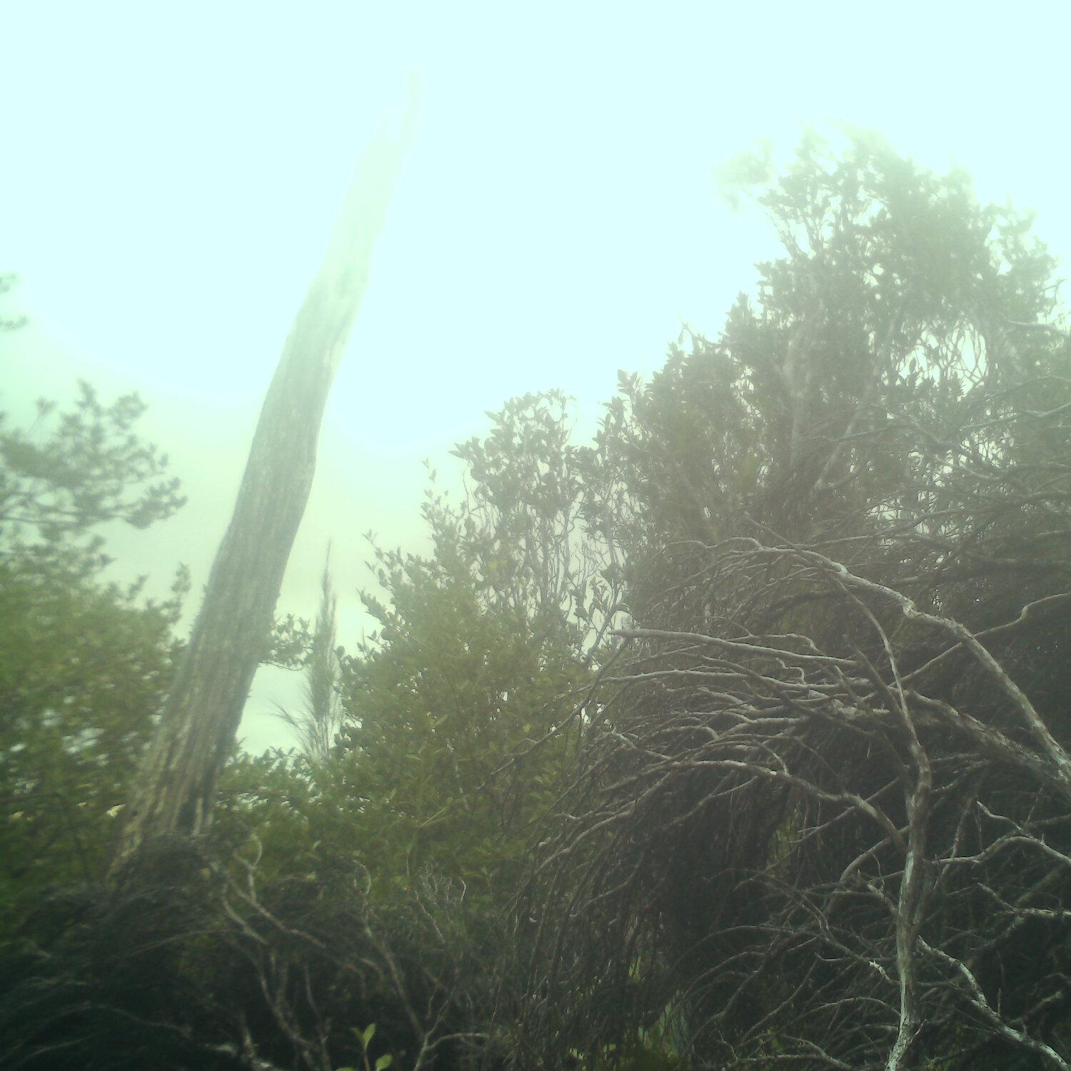 A photo captured from the webcam at the time the audio was recorded