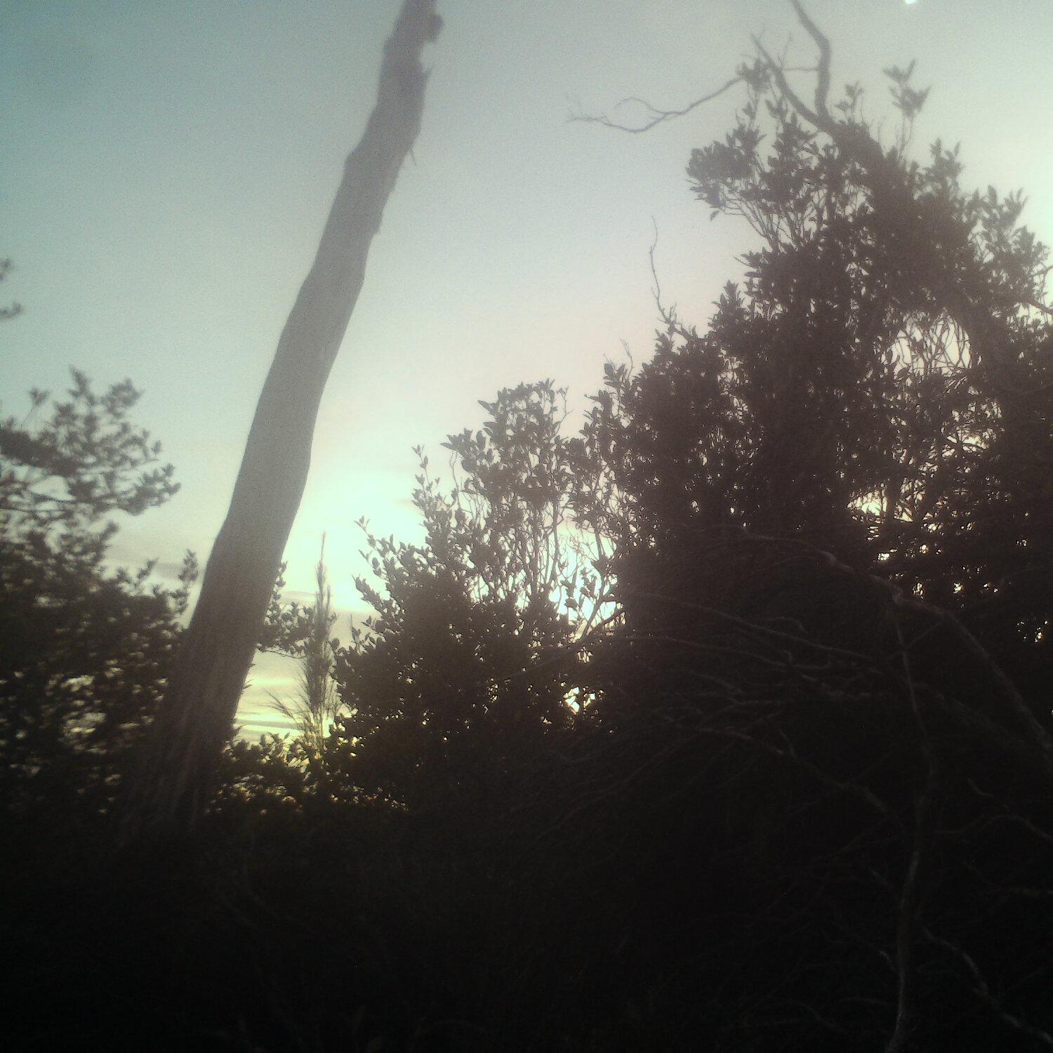 A photo captured from the webcam at the time the audio was recorded