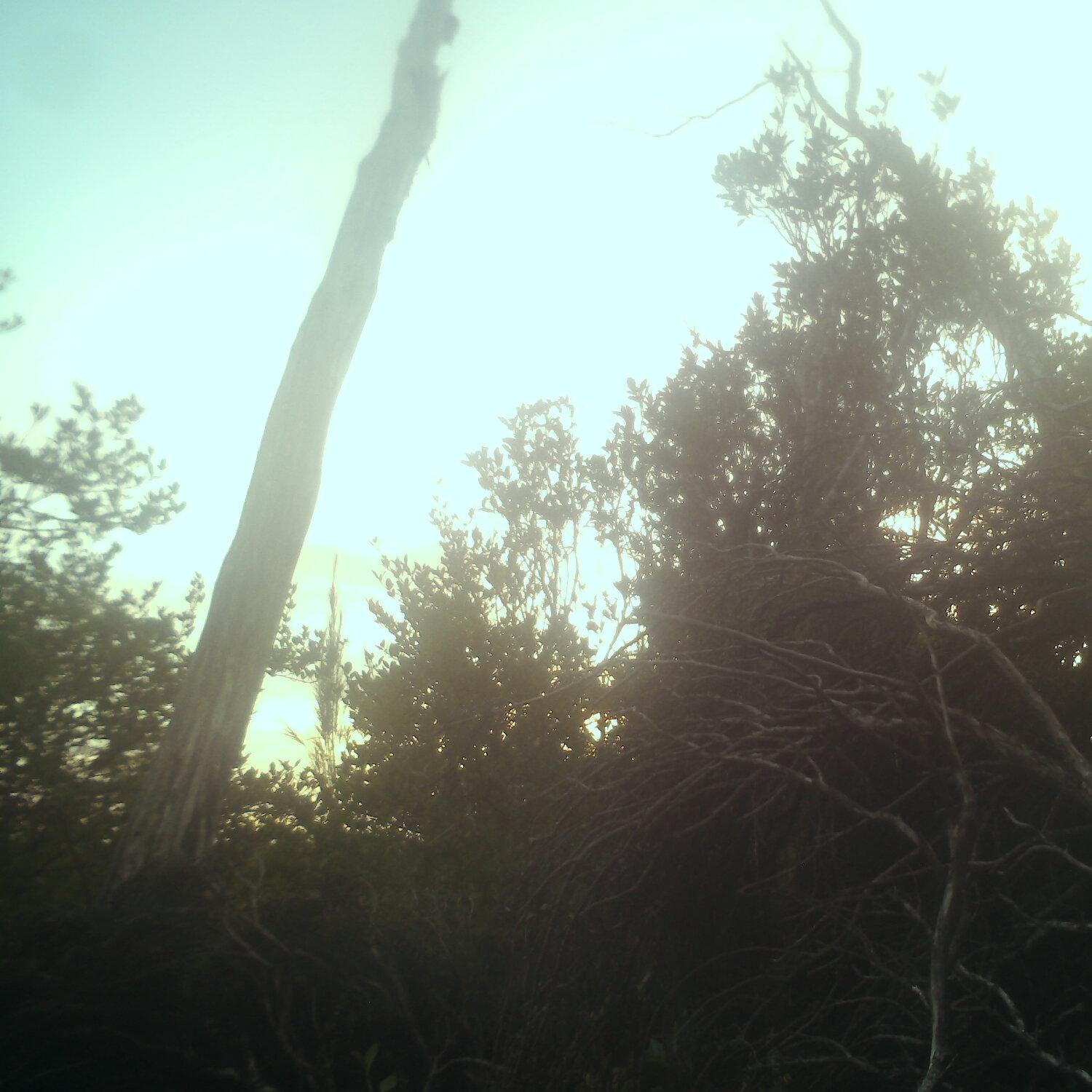 A photo captured from the webcam at the time the audio was recorded