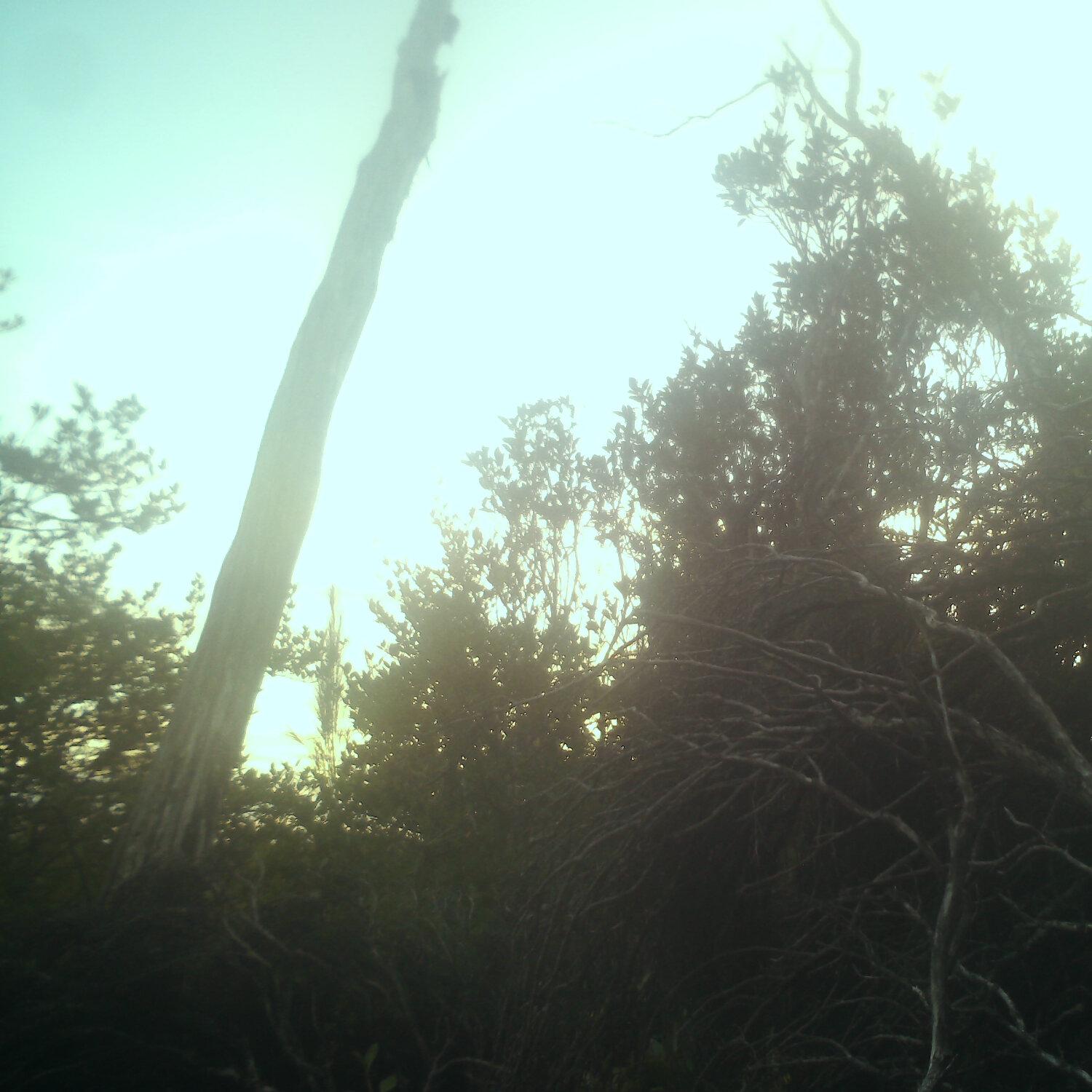 A photo captured from the webcam at the time the audio was recorded