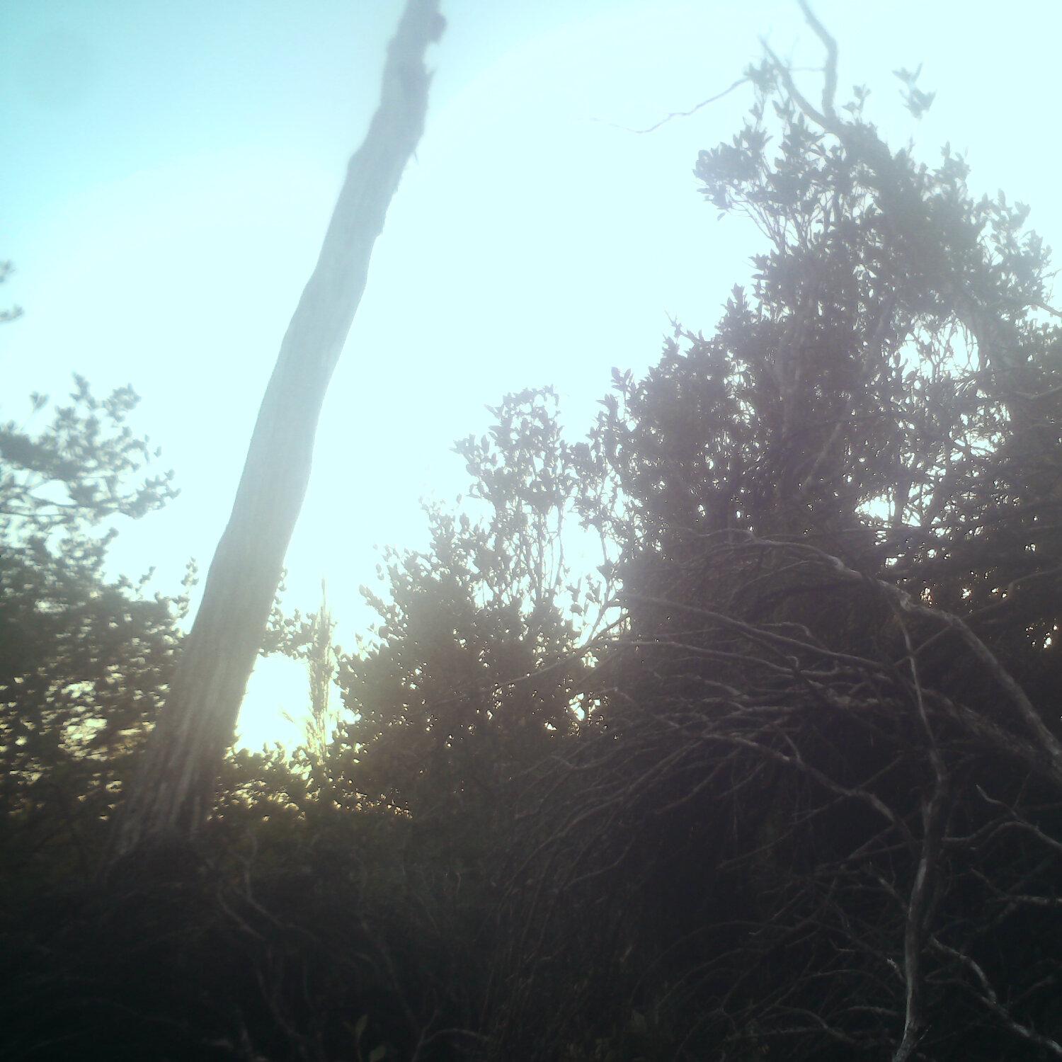 A photo captured from the webcam at the time the audio was recorded