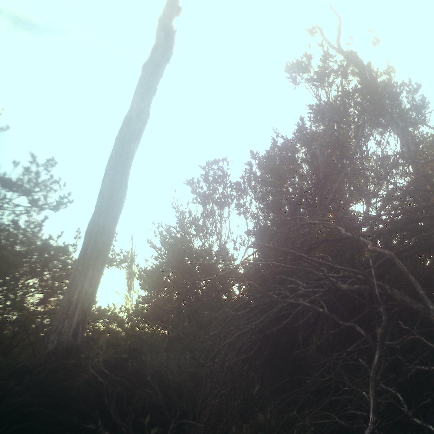 A photo captured from the webcam at the time the audio was recorded
