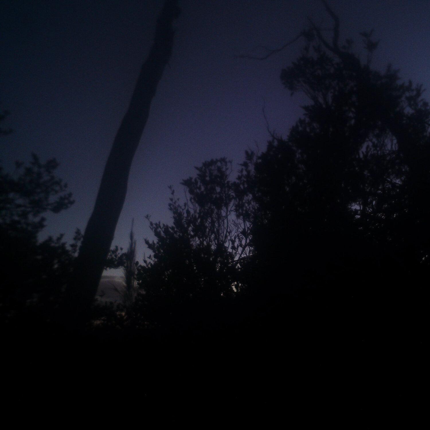 A photo captured from the webcam at the time the audio was recorded