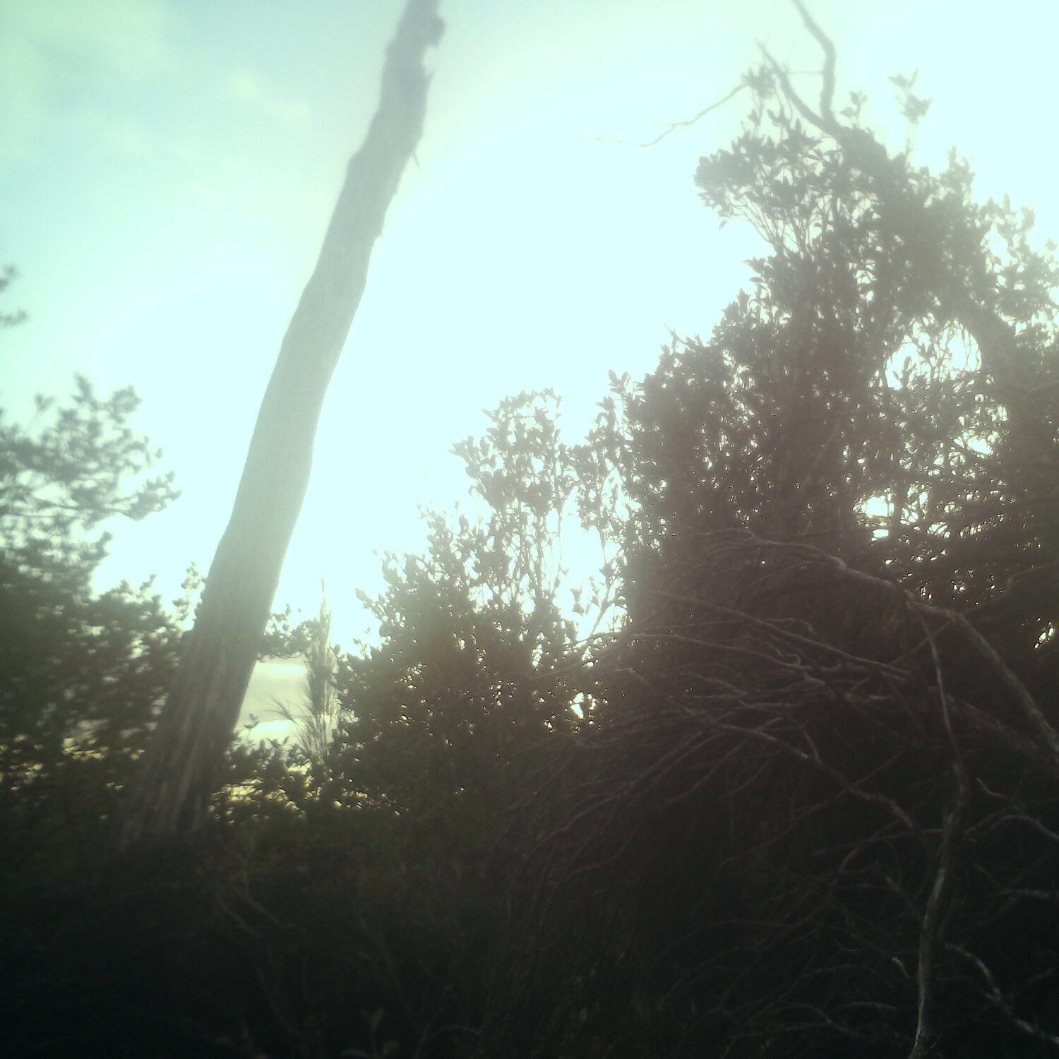 A photo captured from the webcam at the time the audio was recorded