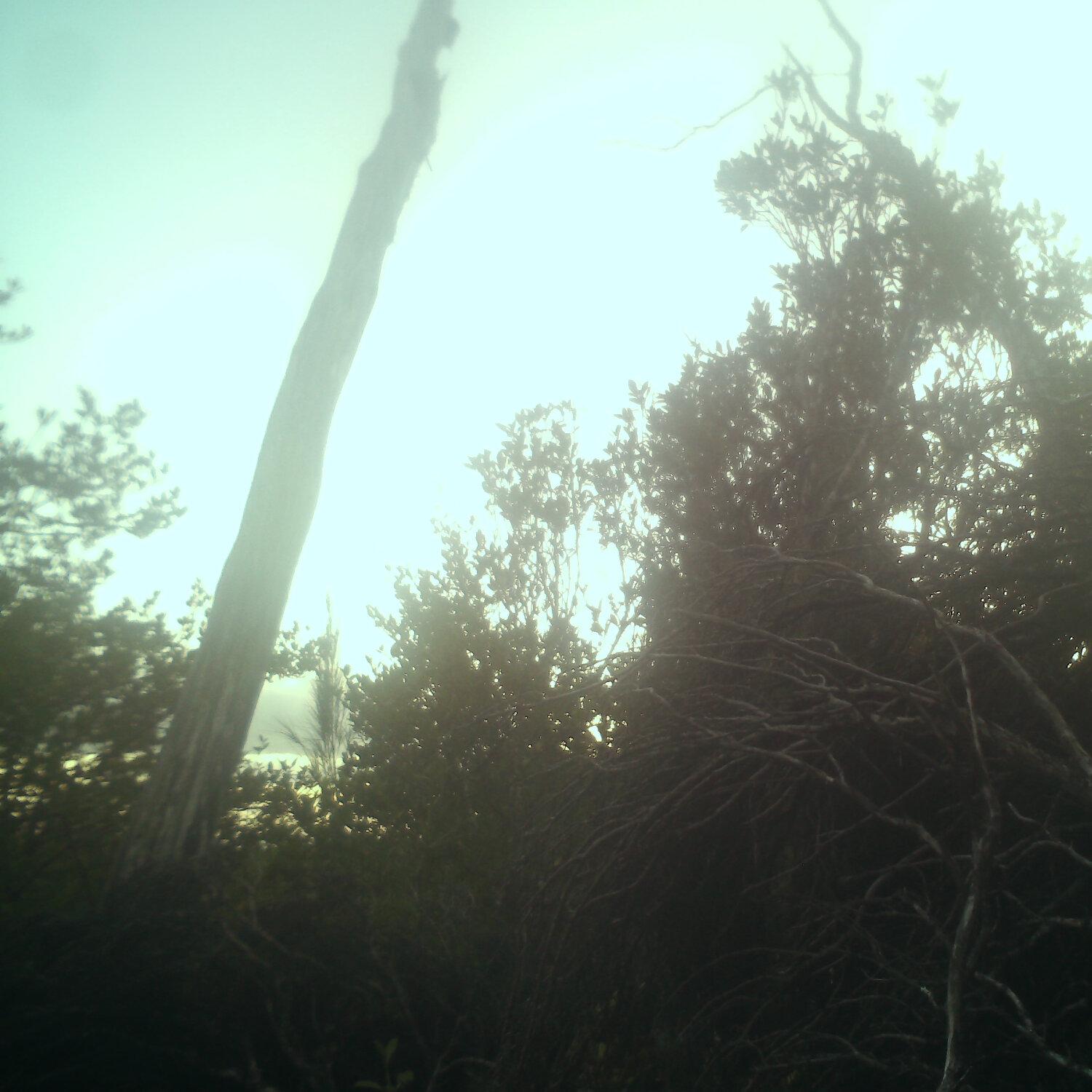 A photo captured from the webcam at the time the audio was recorded