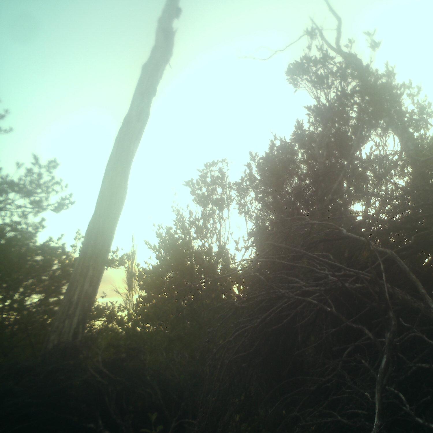 A photo captured from the webcam at the time the audio was recorded
