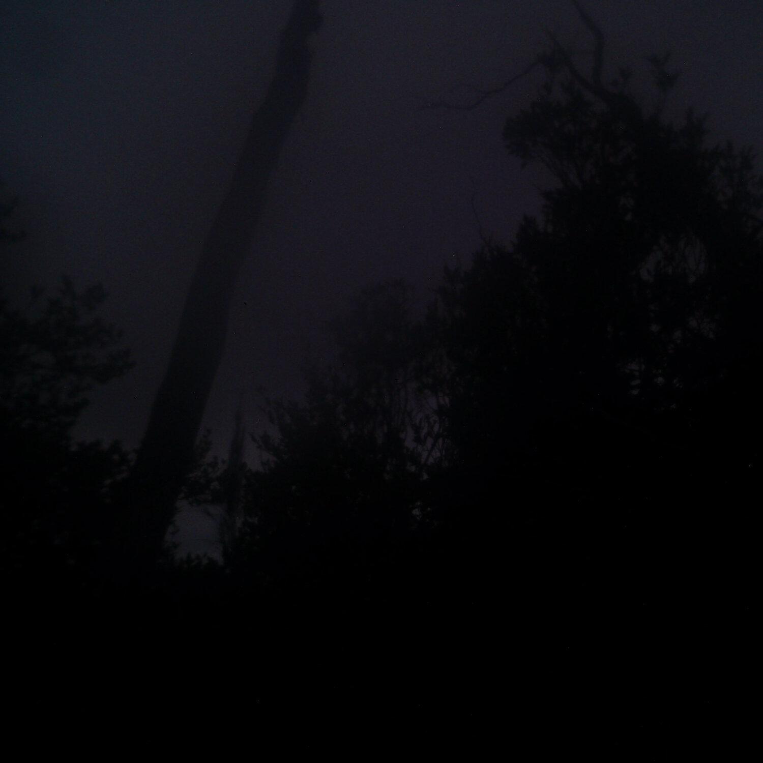 A photo captured from the webcam at the time the audio was recorded