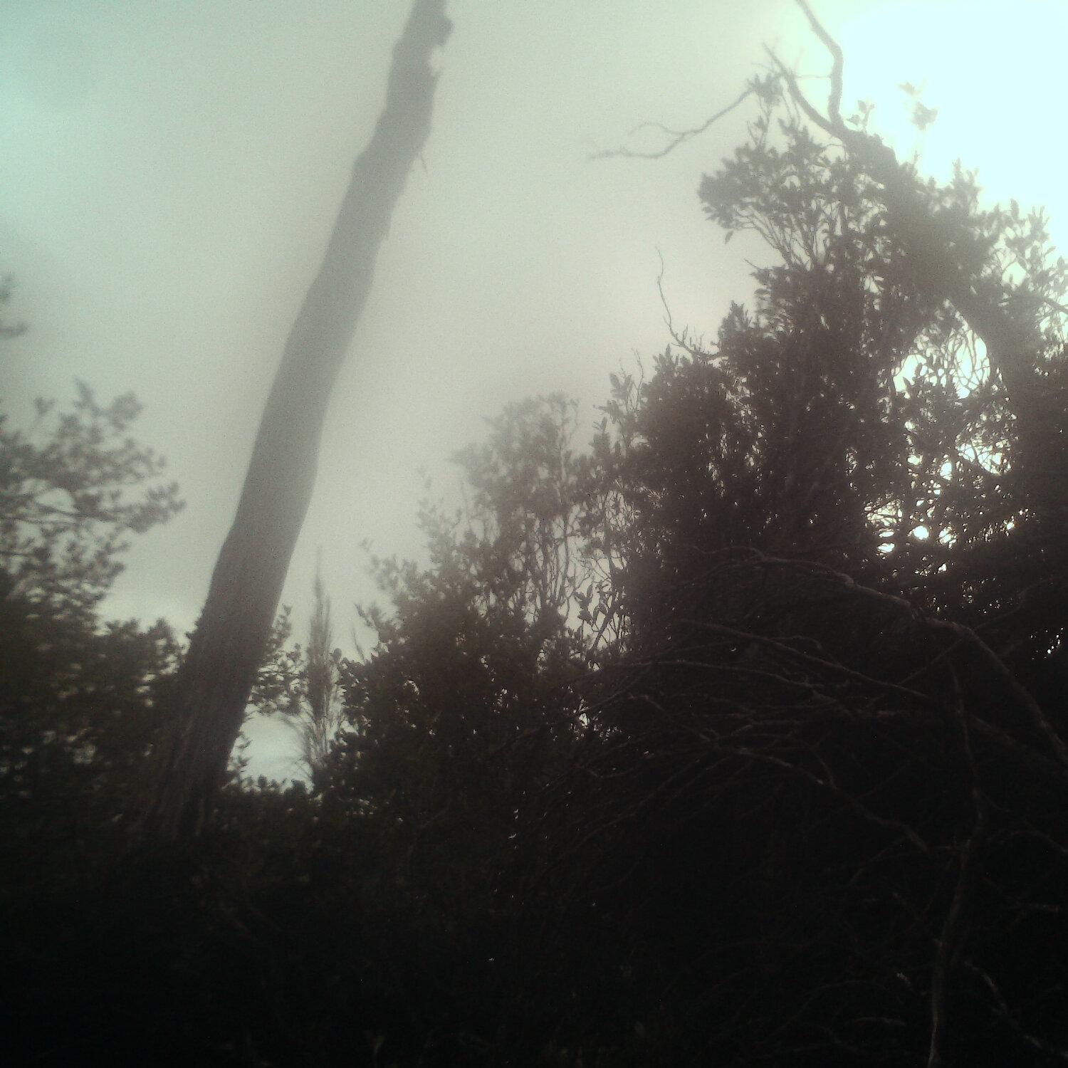 A photo captured from the webcam at the time the audio was recorded