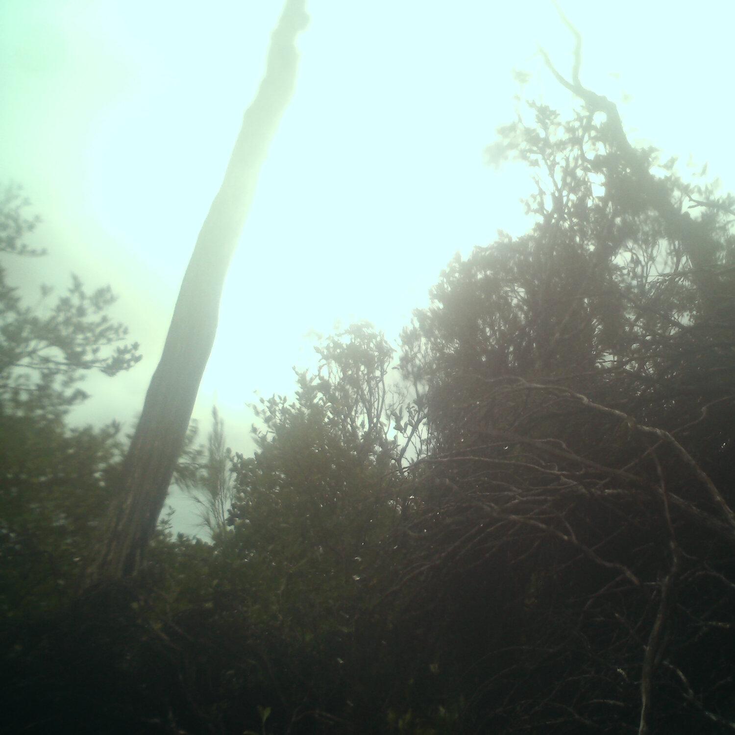 A photo captured from the webcam at the time the audio was recorded