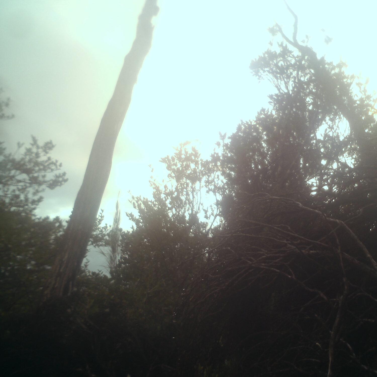 A photo captured from the webcam at the time the audio was recorded