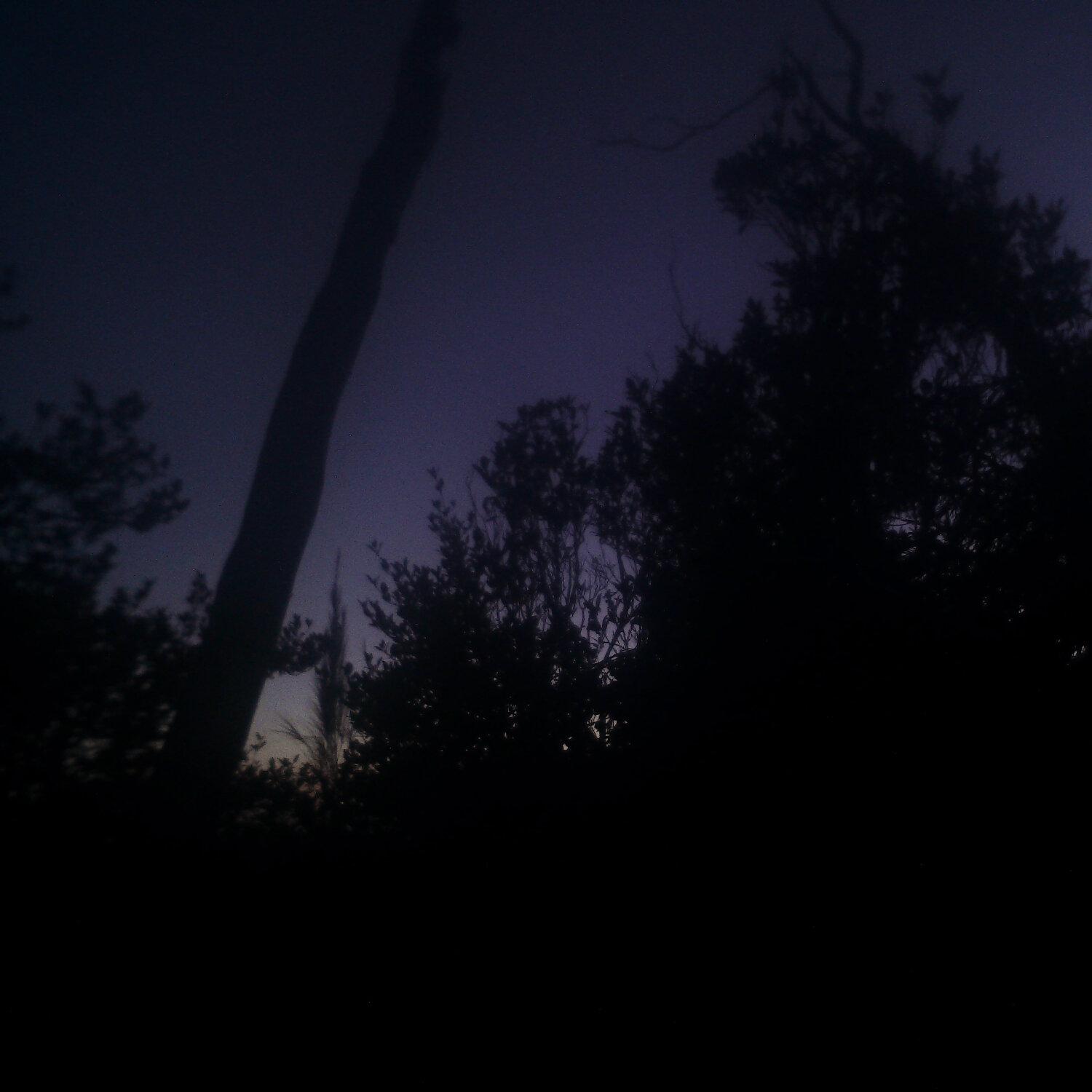 A photo captured from the webcam at the time the audio was recorded