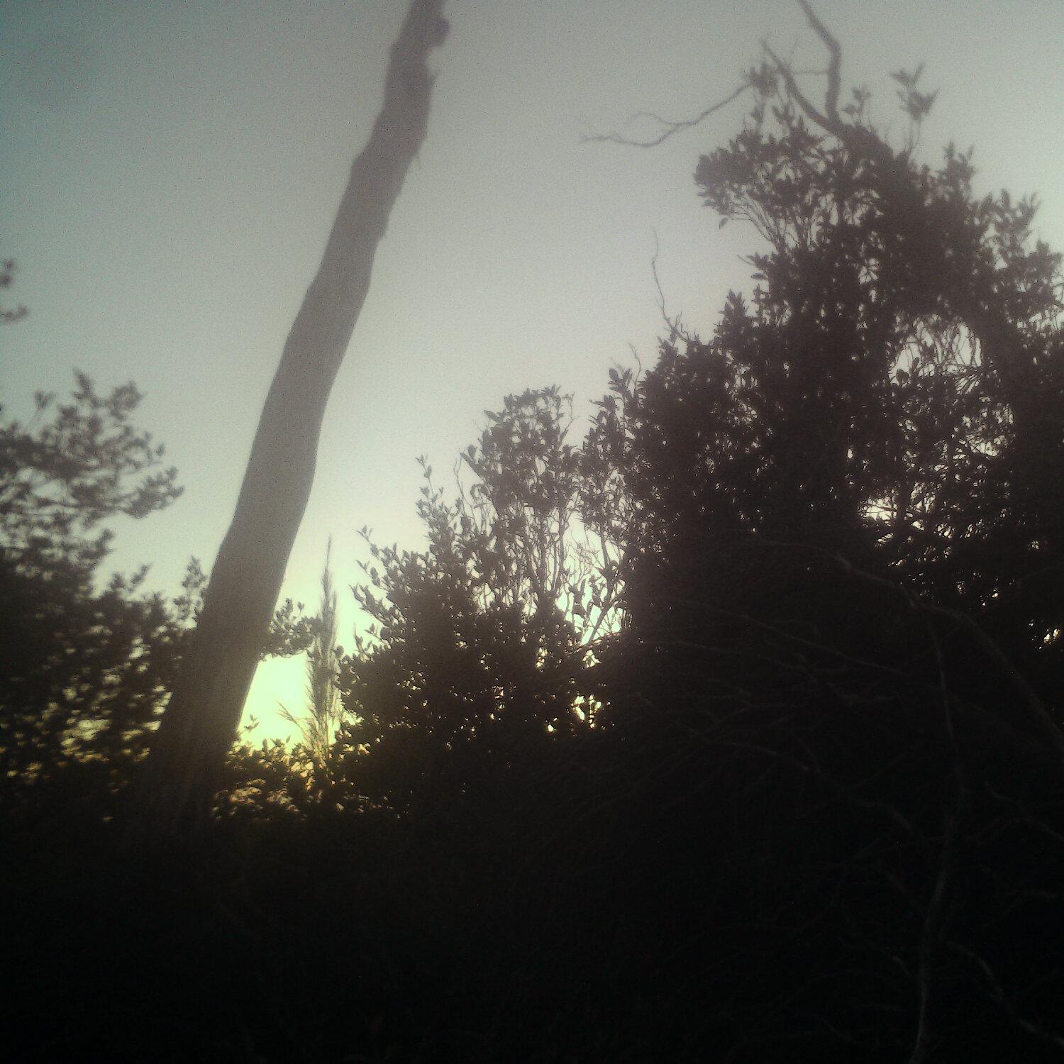 A photo captured from the webcam at the time the audio was recorded