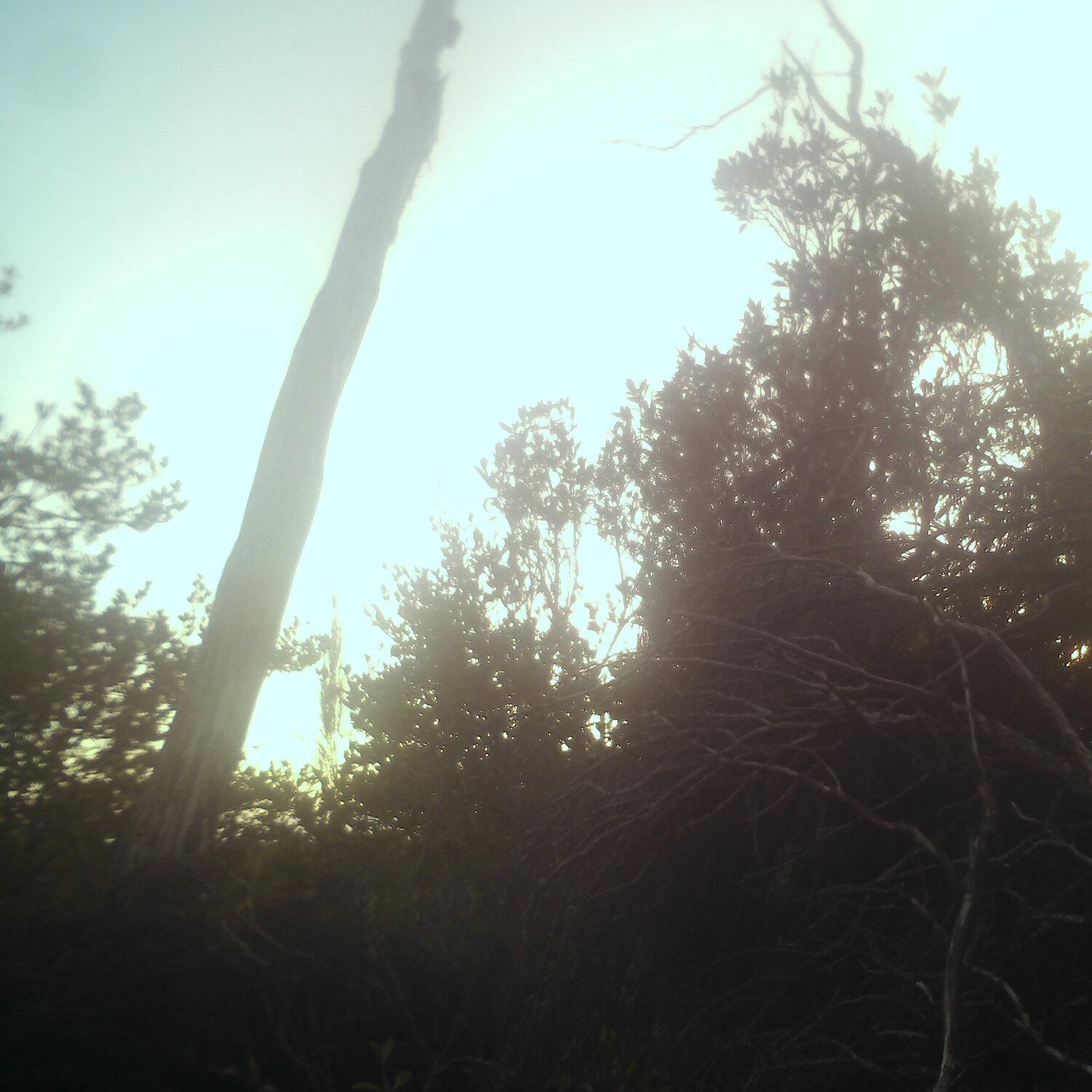 A photo captured from the webcam at the time the audio was recorded