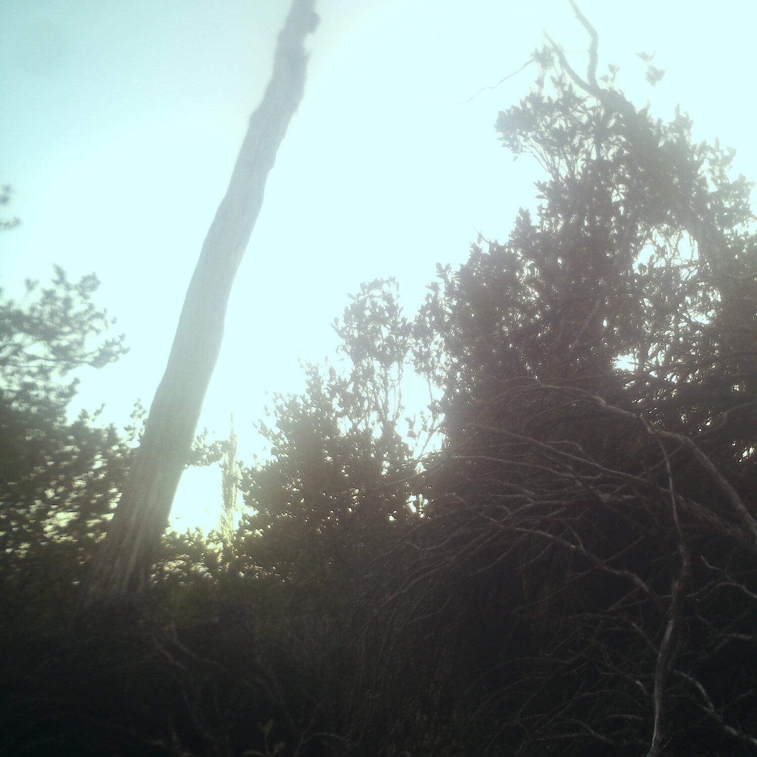 A photo captured from the webcam at the time the audio was recorded