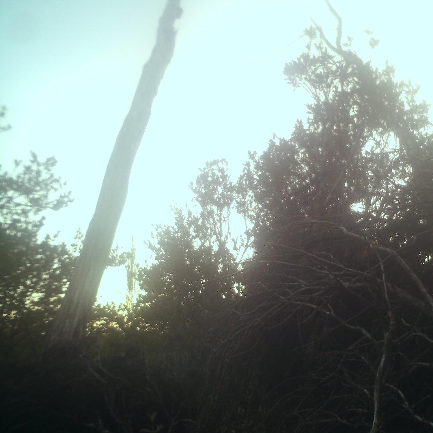 A photo captured from the webcam at the time the audio was recorded