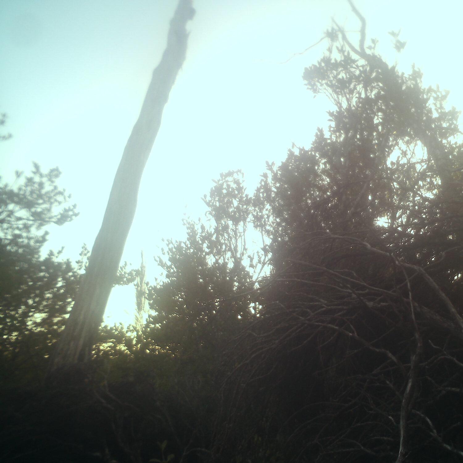 A photo captured from the webcam at the time the audio was recorded