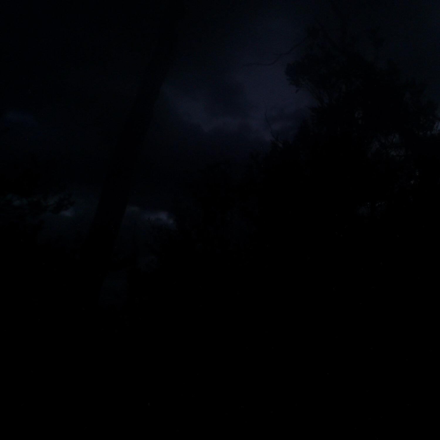 A photo captured from the webcam at the time the audio was recorded
