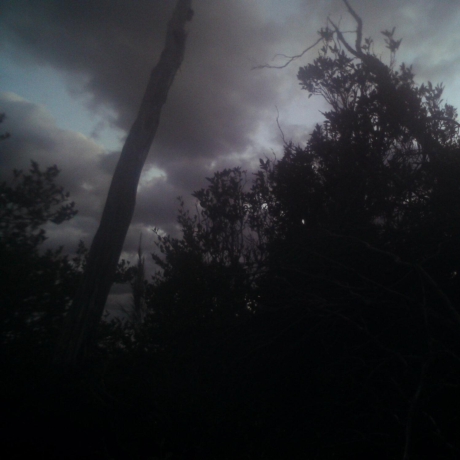 A photo captured from the webcam at the time the audio was recorded