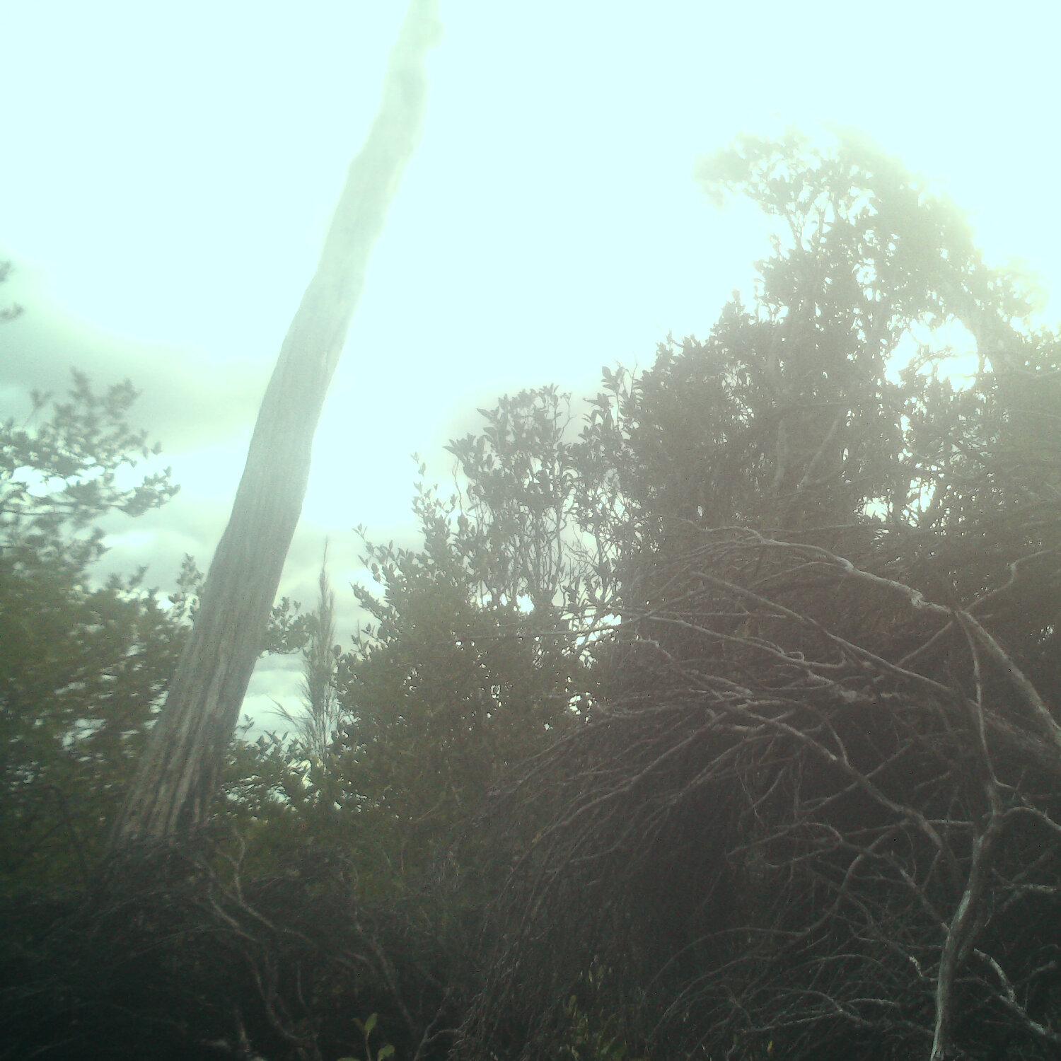 A photo captured from the webcam at the time the audio was recorded