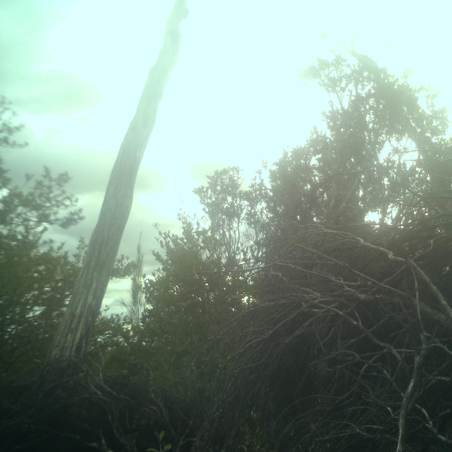 A photo captured from the webcam at the time the audio was recorded