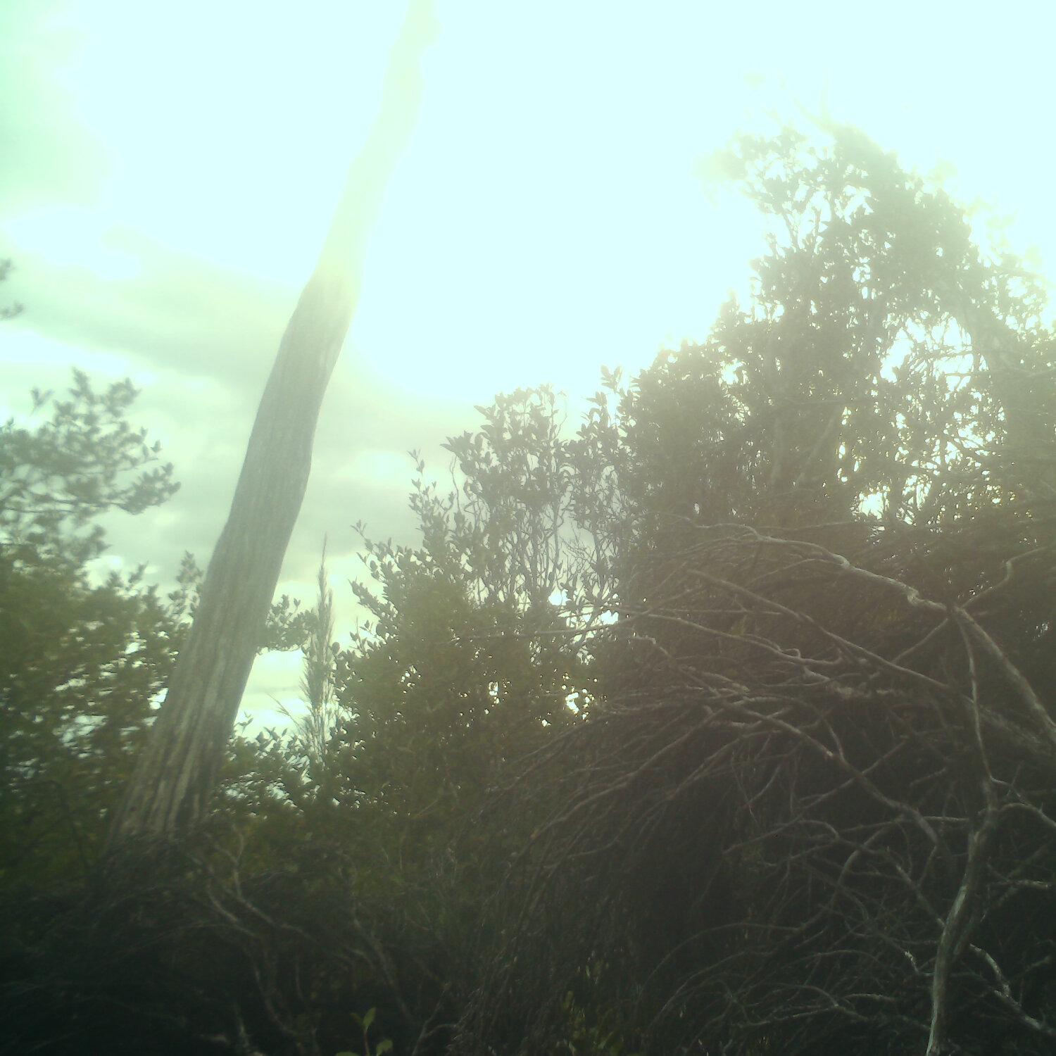 A photo captured from the webcam at the time the audio was recorded