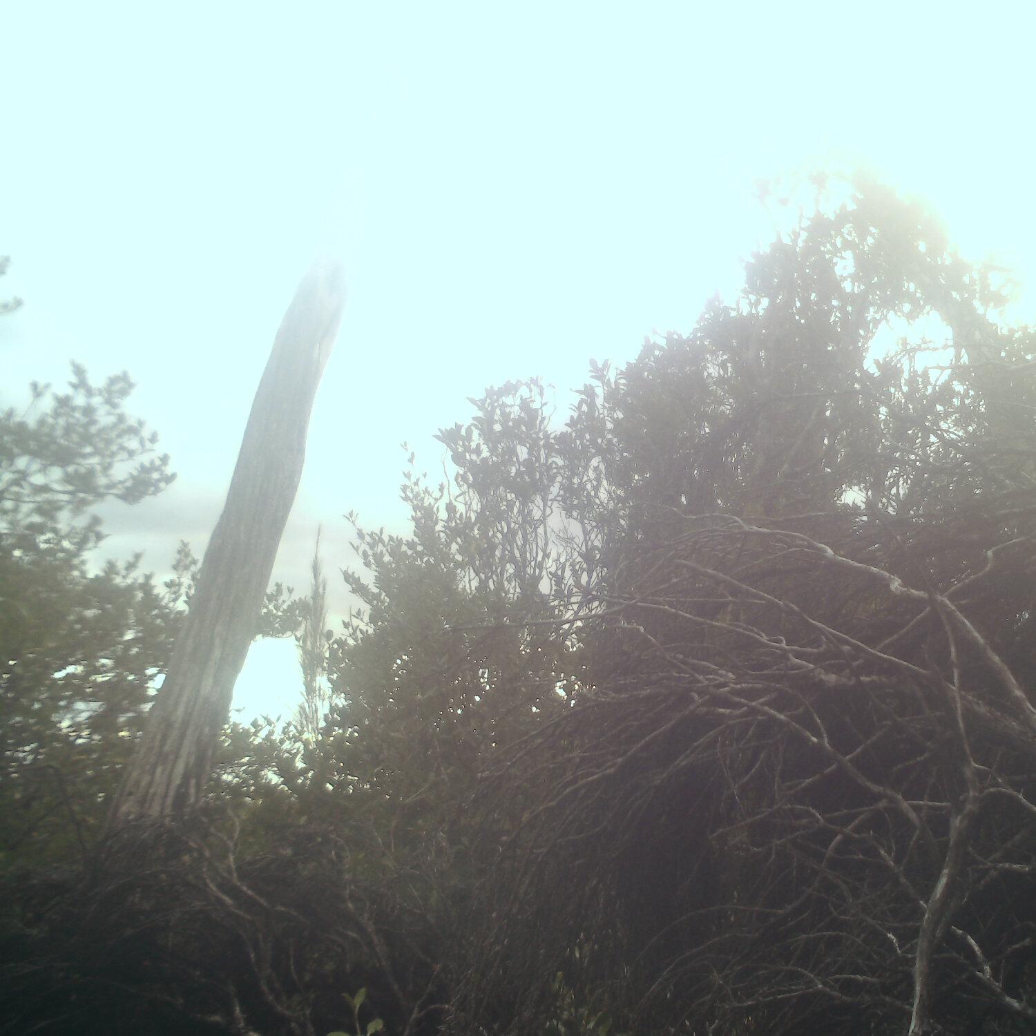 A photo captured from the webcam at the time the audio was recorded