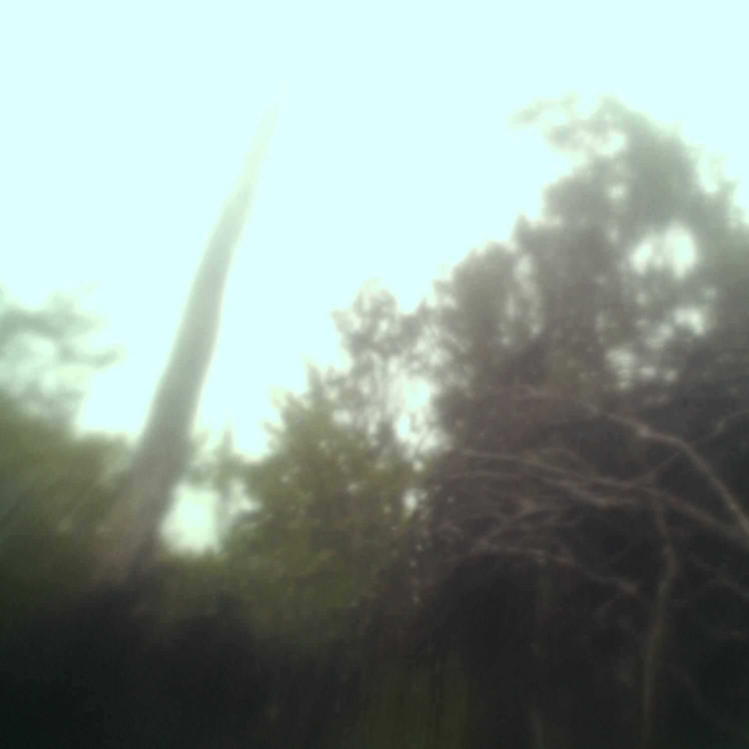 A photo captured from the webcam at the time the audio was recorded
