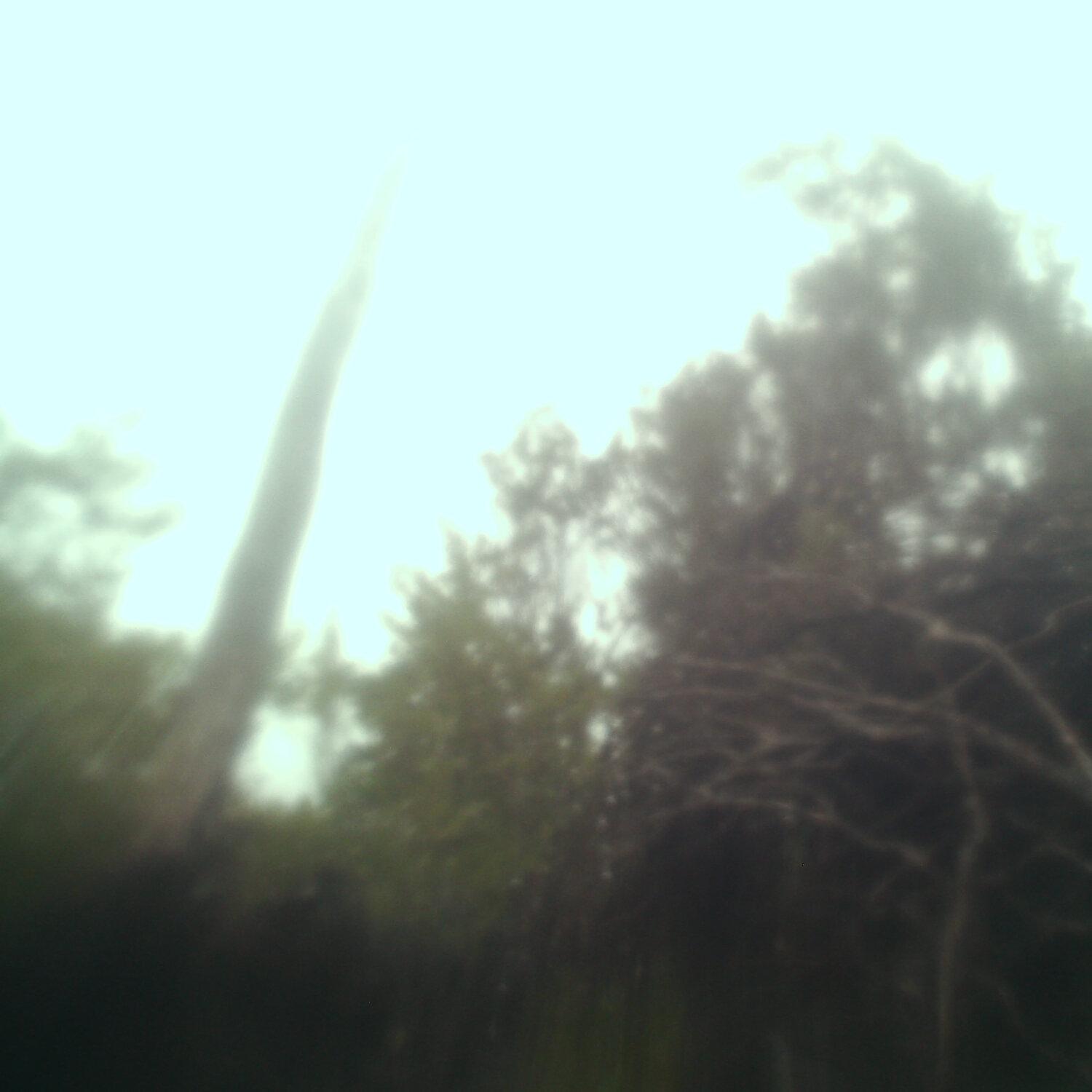 A photo captured from the webcam at the time the audio was recorded