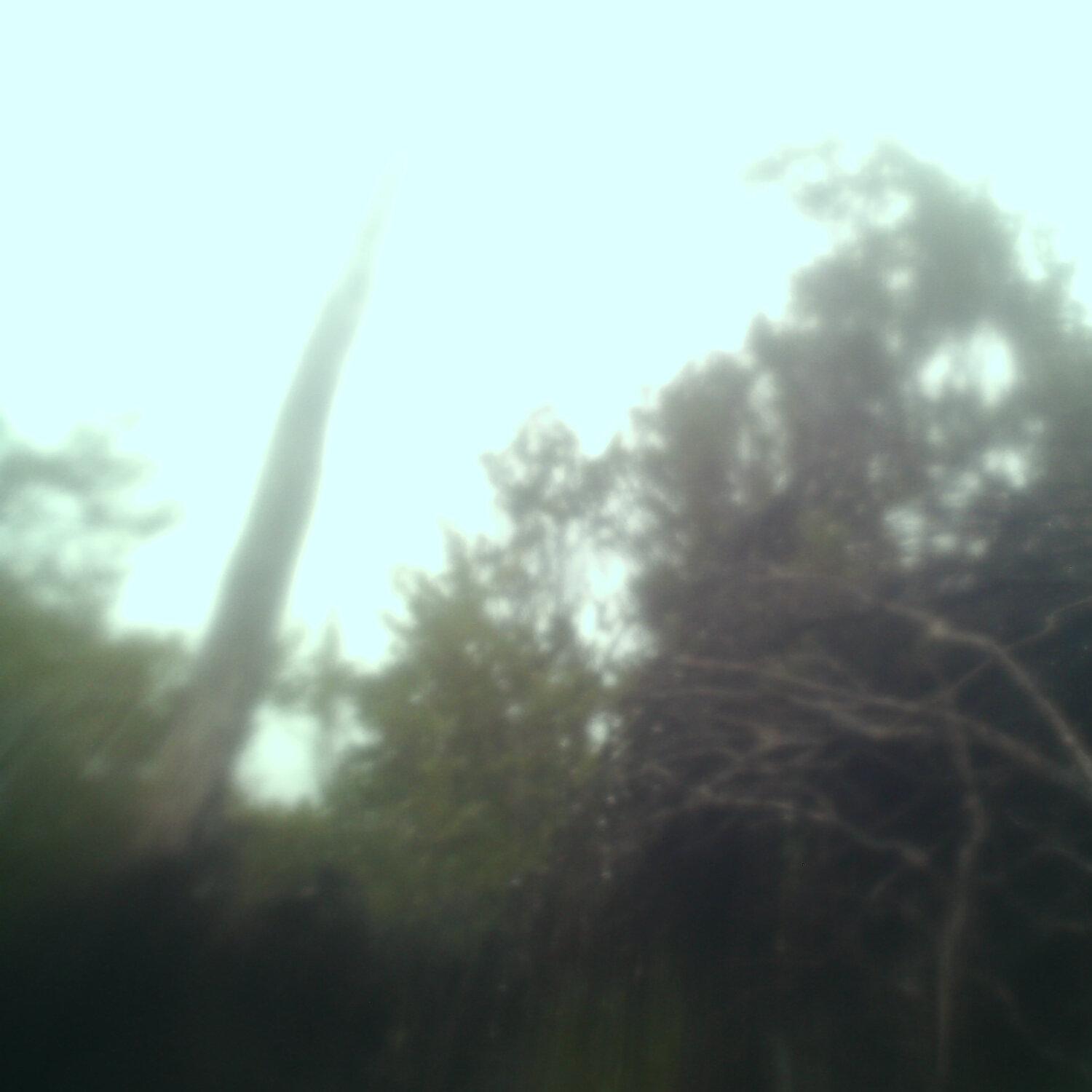 A photo captured from the webcam at the time the audio was recorded