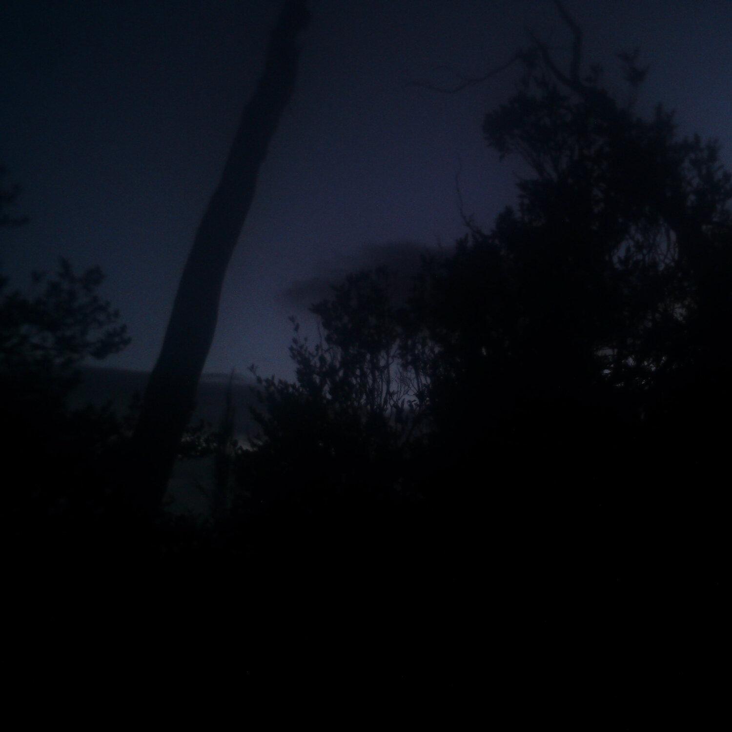 A photo captured from the webcam at the time the audio was recorded