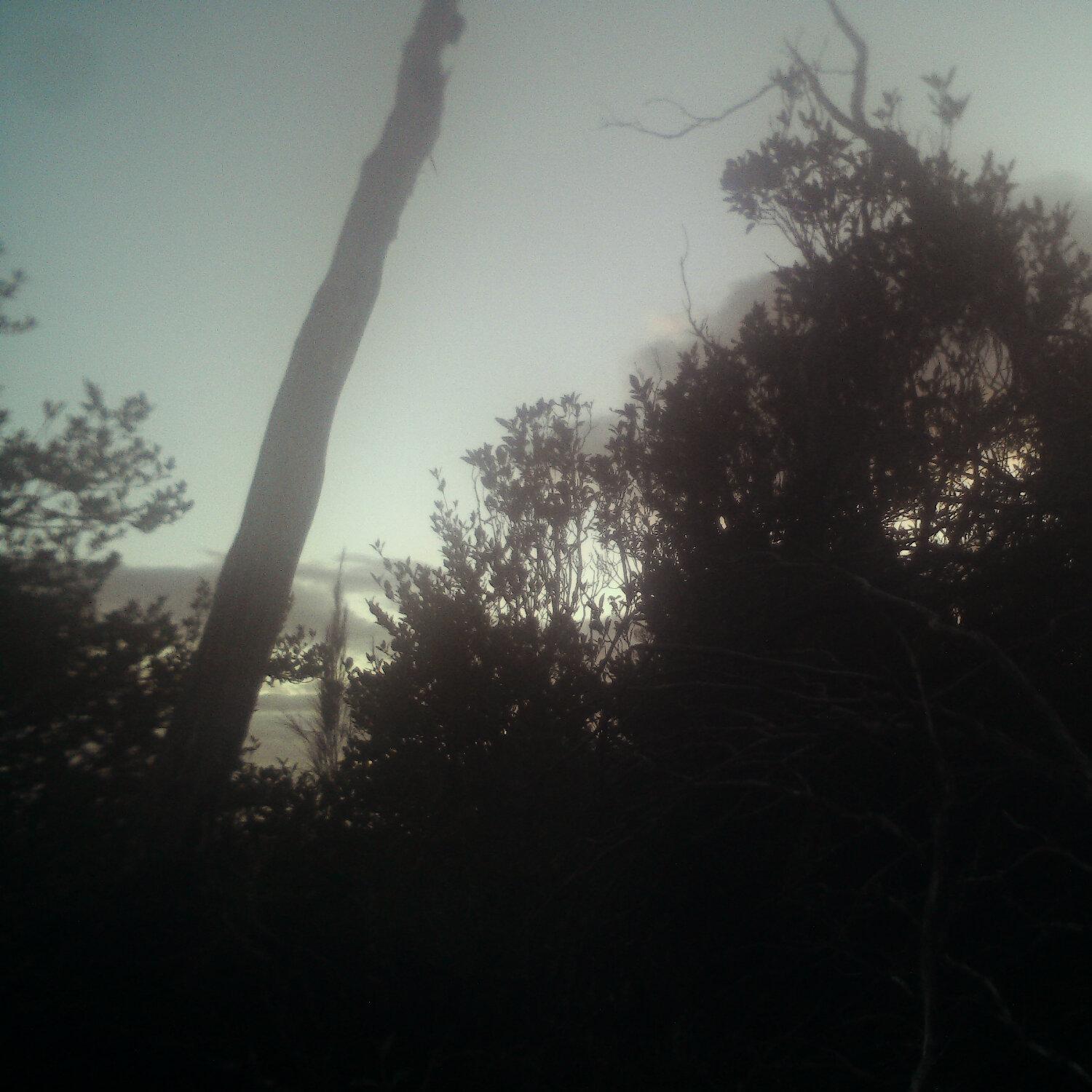 A photo captured from the webcam at the time the audio was recorded