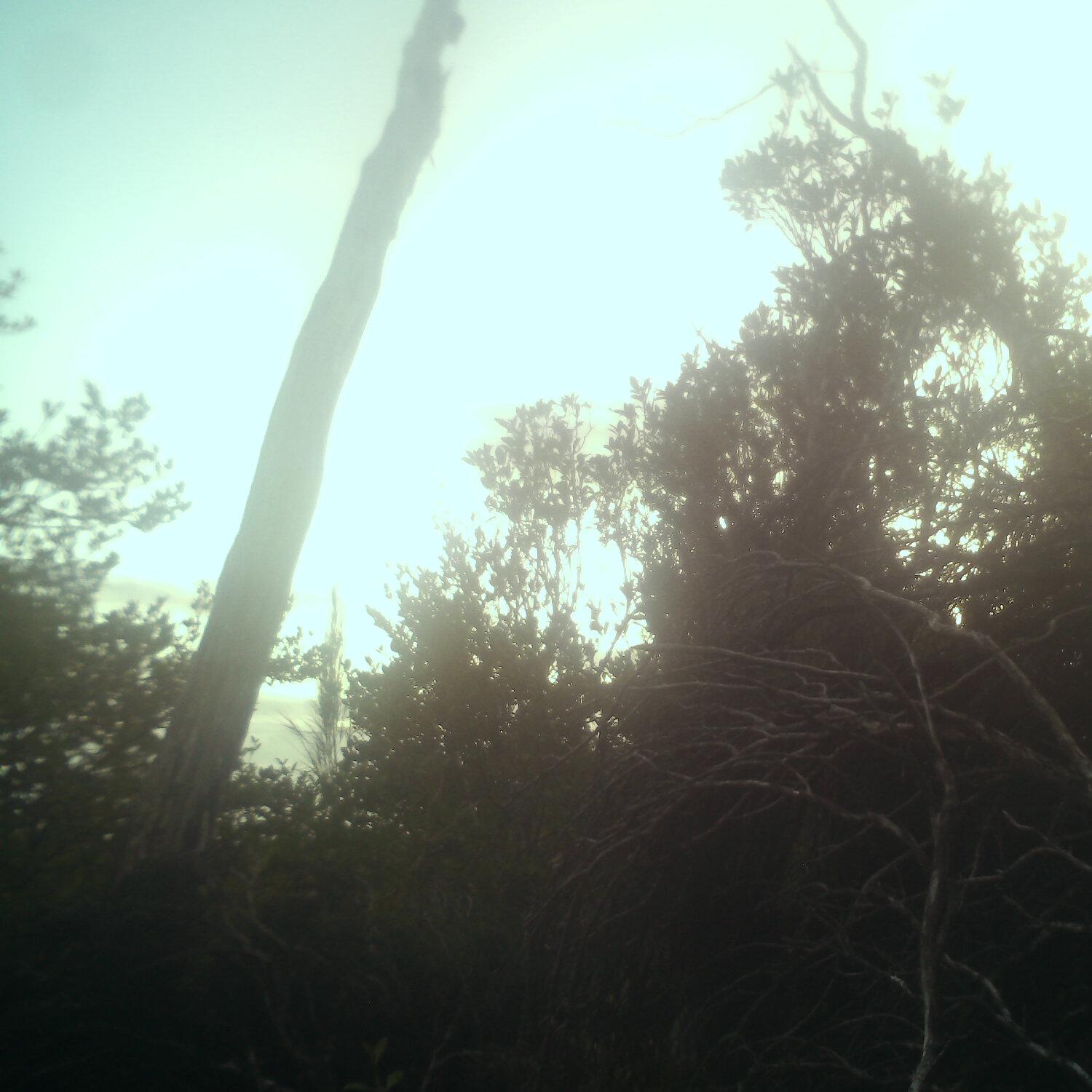 A photo captured from the webcam at the time the audio was recorded
