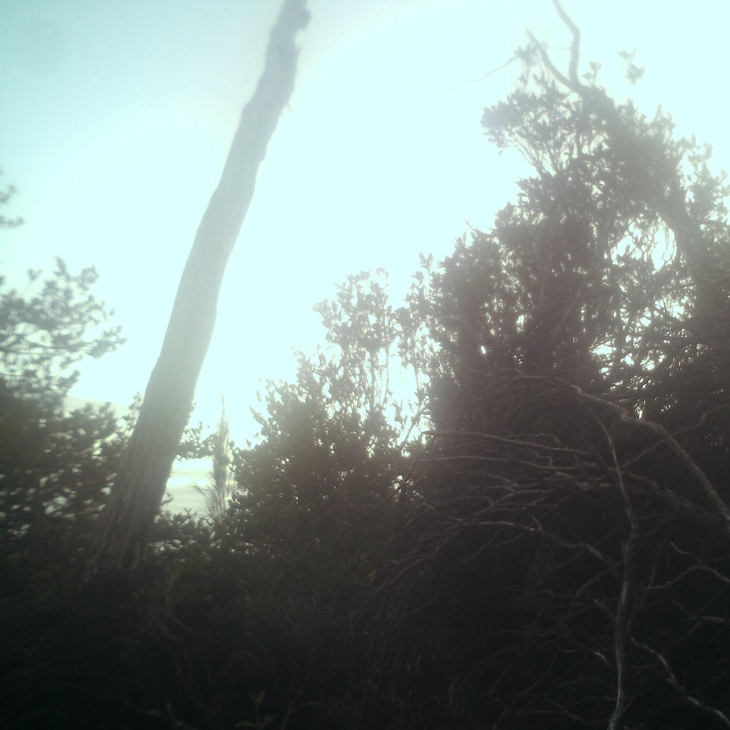 A photo captured from the webcam at the time the audio was recorded