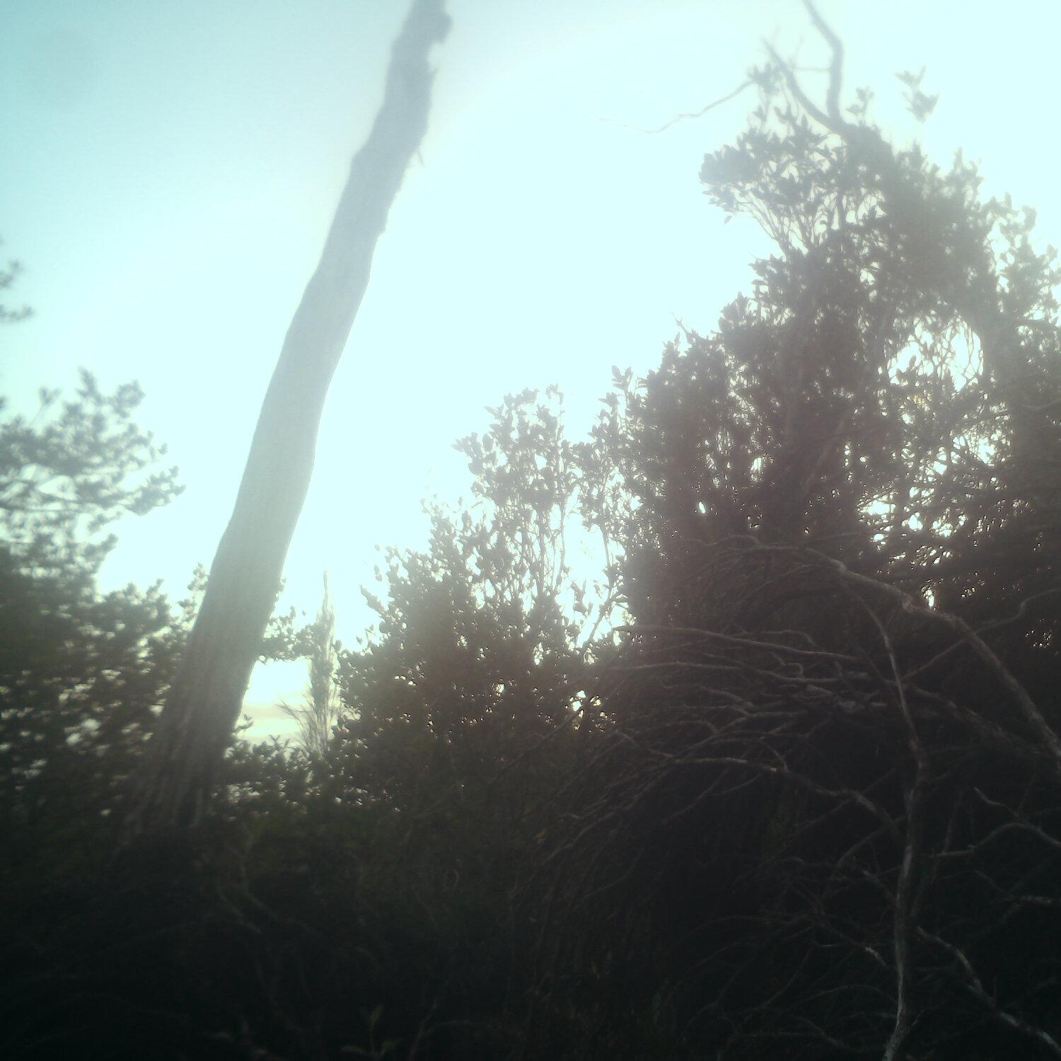 A photo captured from the webcam at the time the audio was recorded