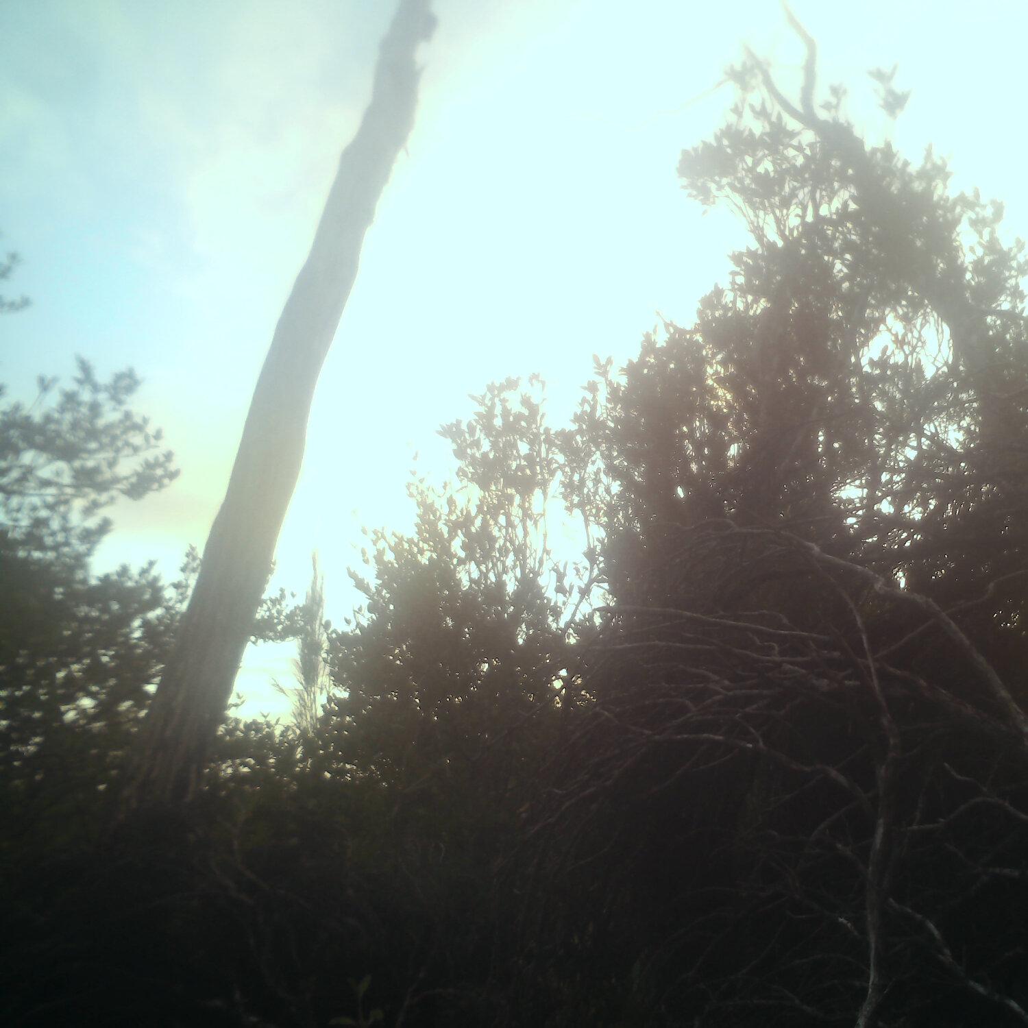 A photo captured from the webcam at the time the audio was recorded